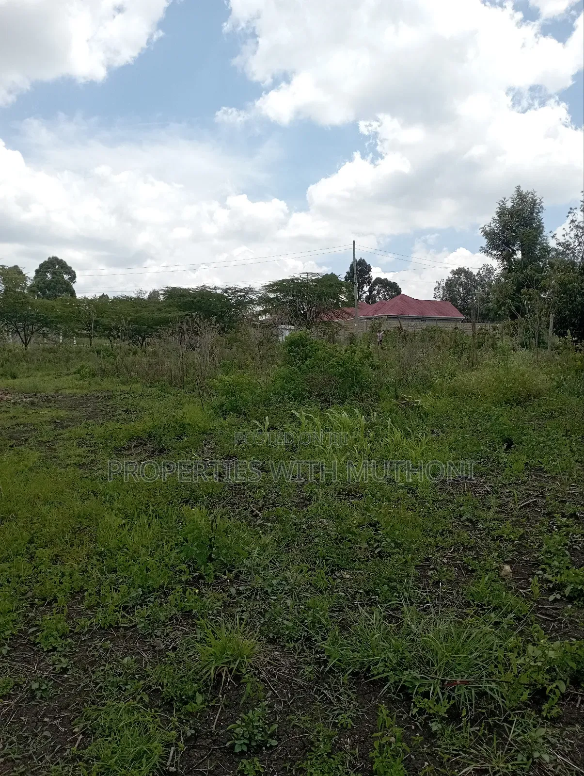 1⁄4 Acre Plot for Sale in Merisho, Ngong in Merisho