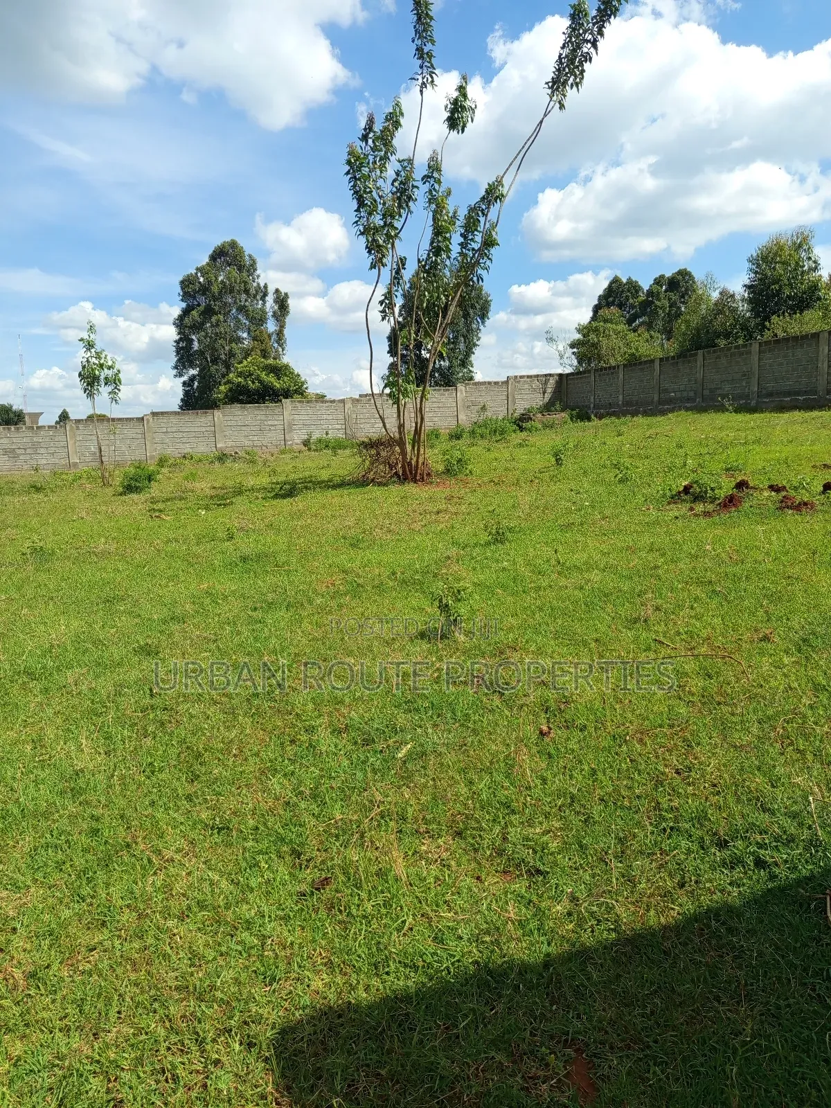 Prime 100*100 Plot for Sale in Kikuyu Gikambura in Thogoto