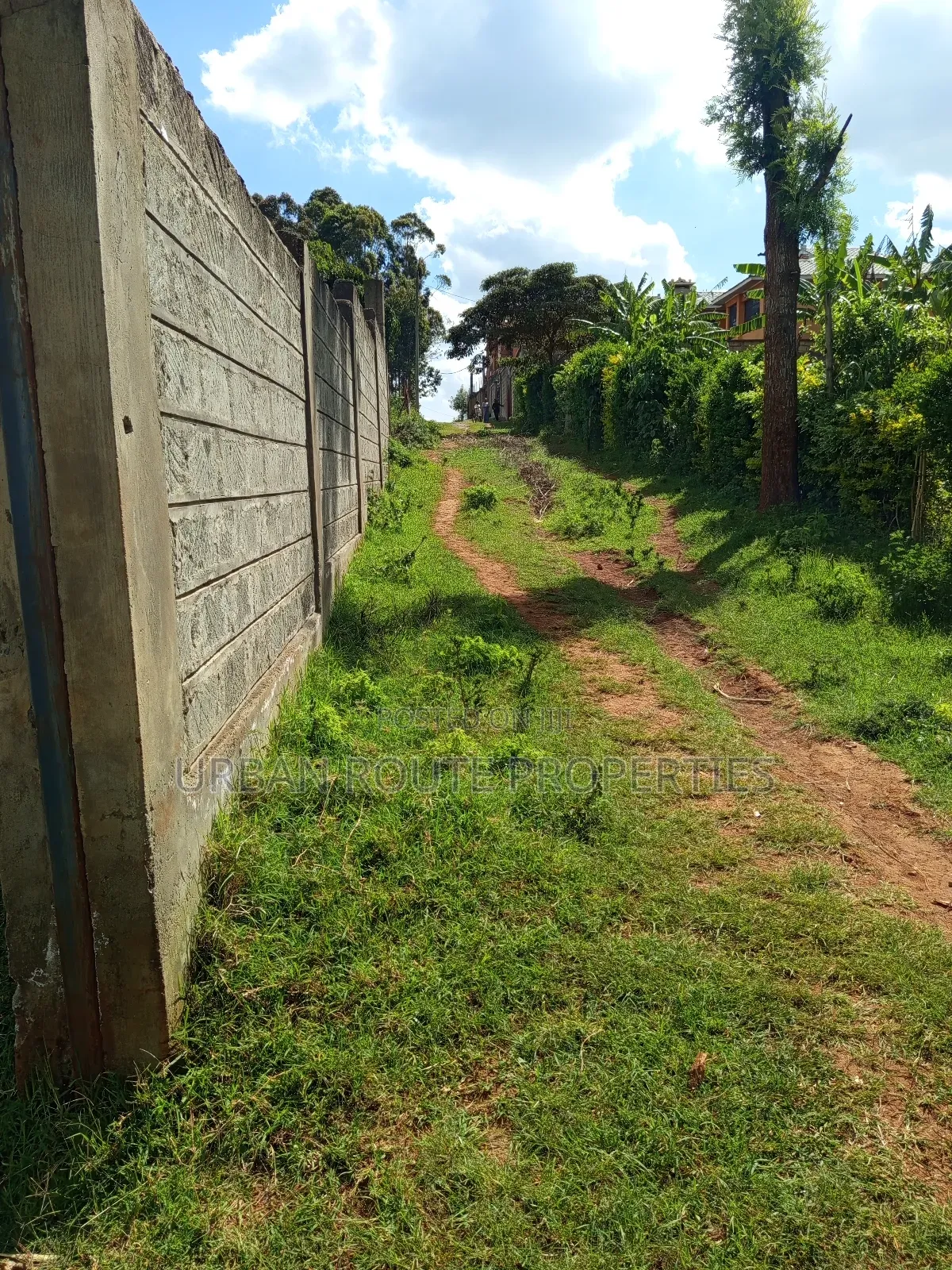 Prime 100*100 Plot for Sale in Kikuyu Gikambura in Thogoto