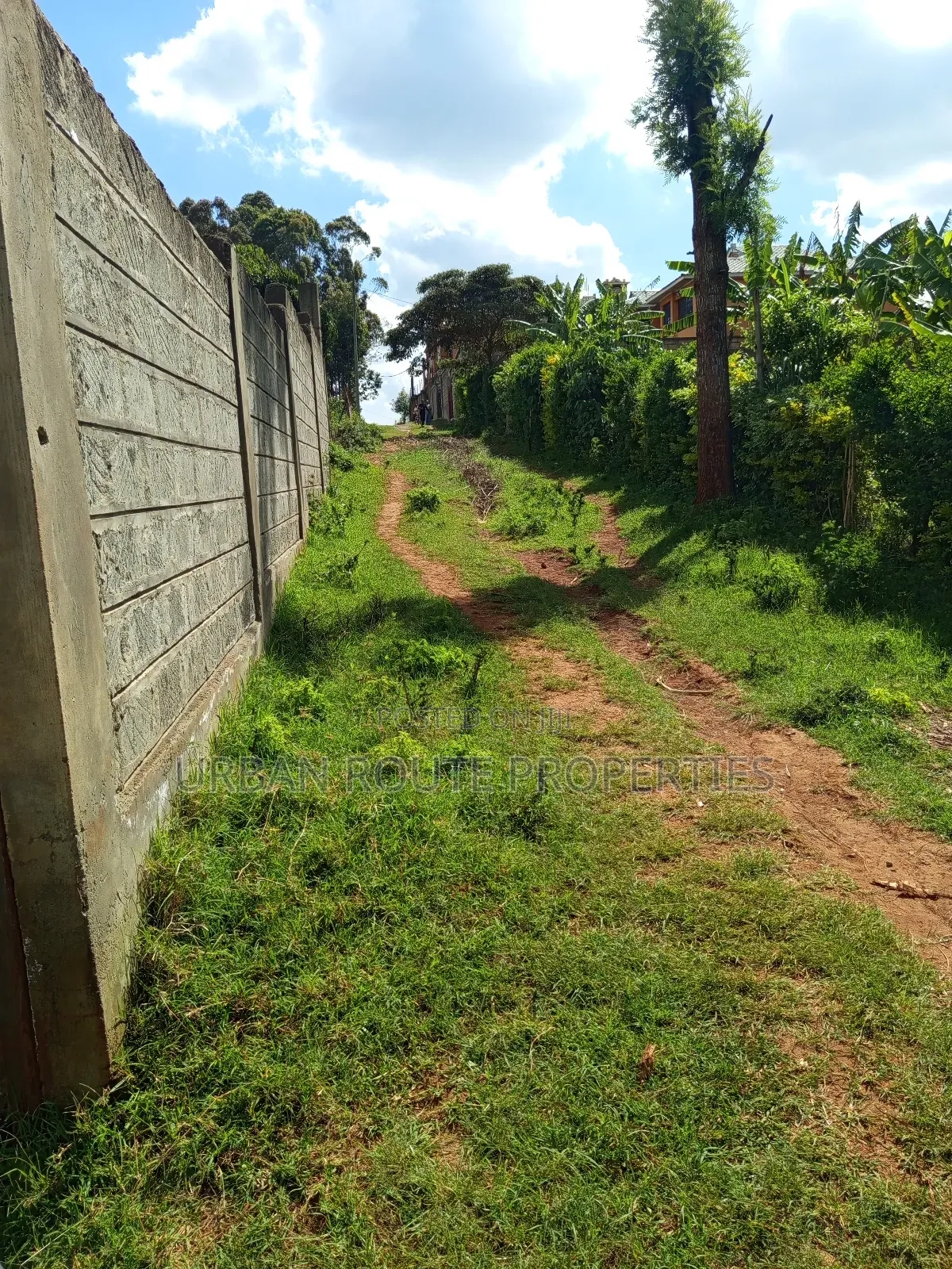 Prime 100*100 Plot for Sale in Kikuyu Gikambura in Thogoto
