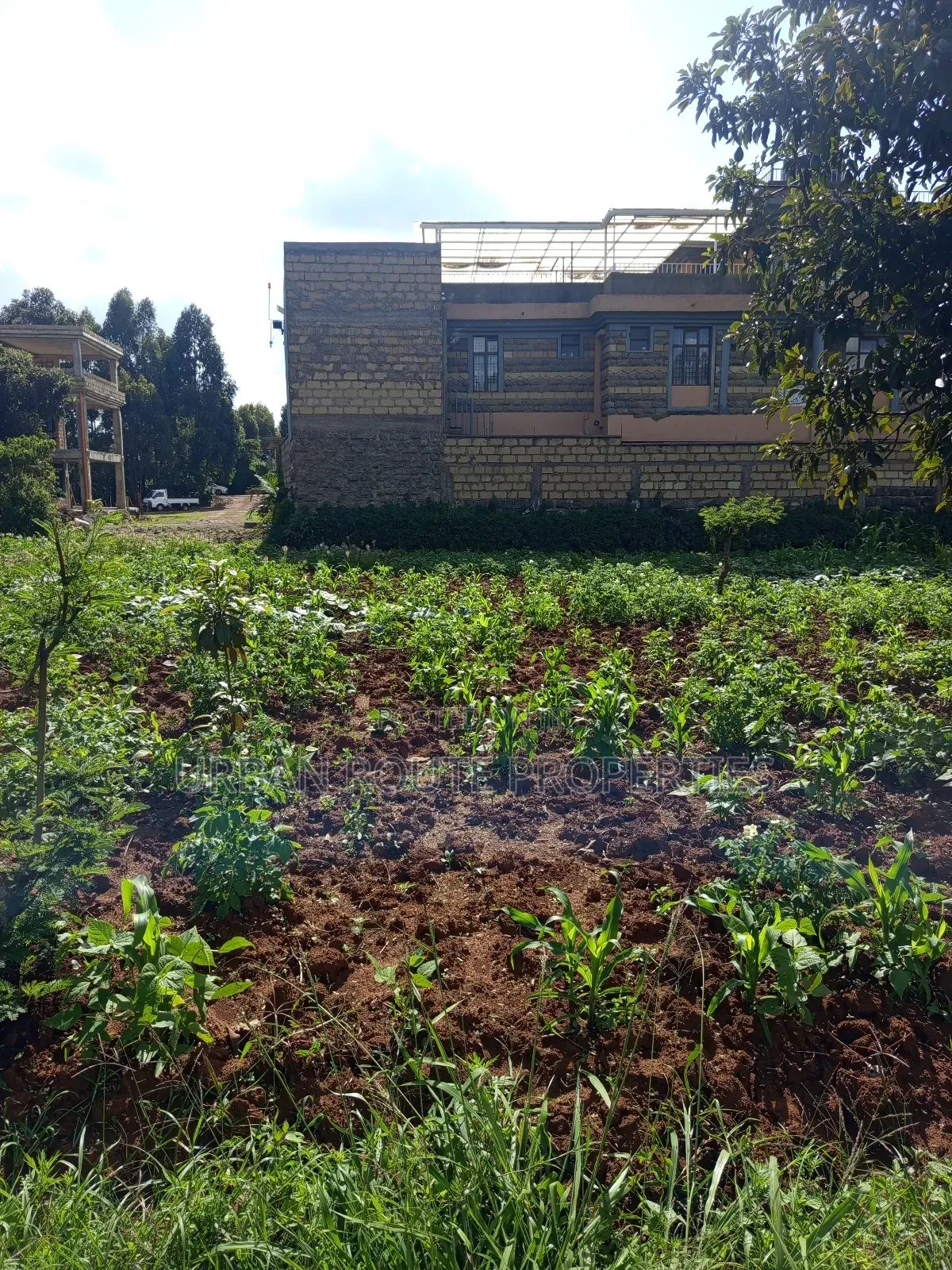 Prime 100*100 Plot for Sale in Kikuyu Gikambura in Thogoto