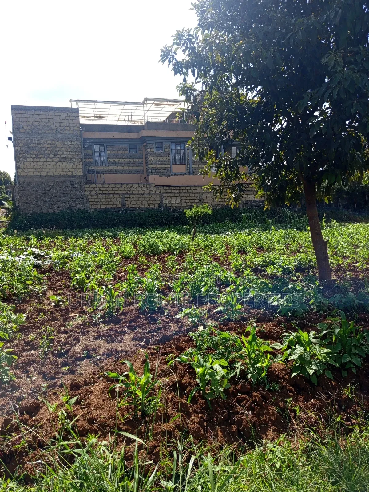 Prime 100*100 Plot for Sale in Kikuyu Gikambura in Thogoto