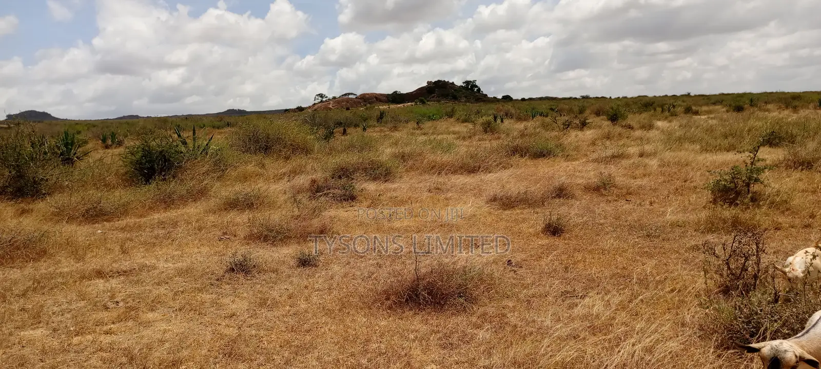 5 Acres for Sale in Kinanie in DayStar Area