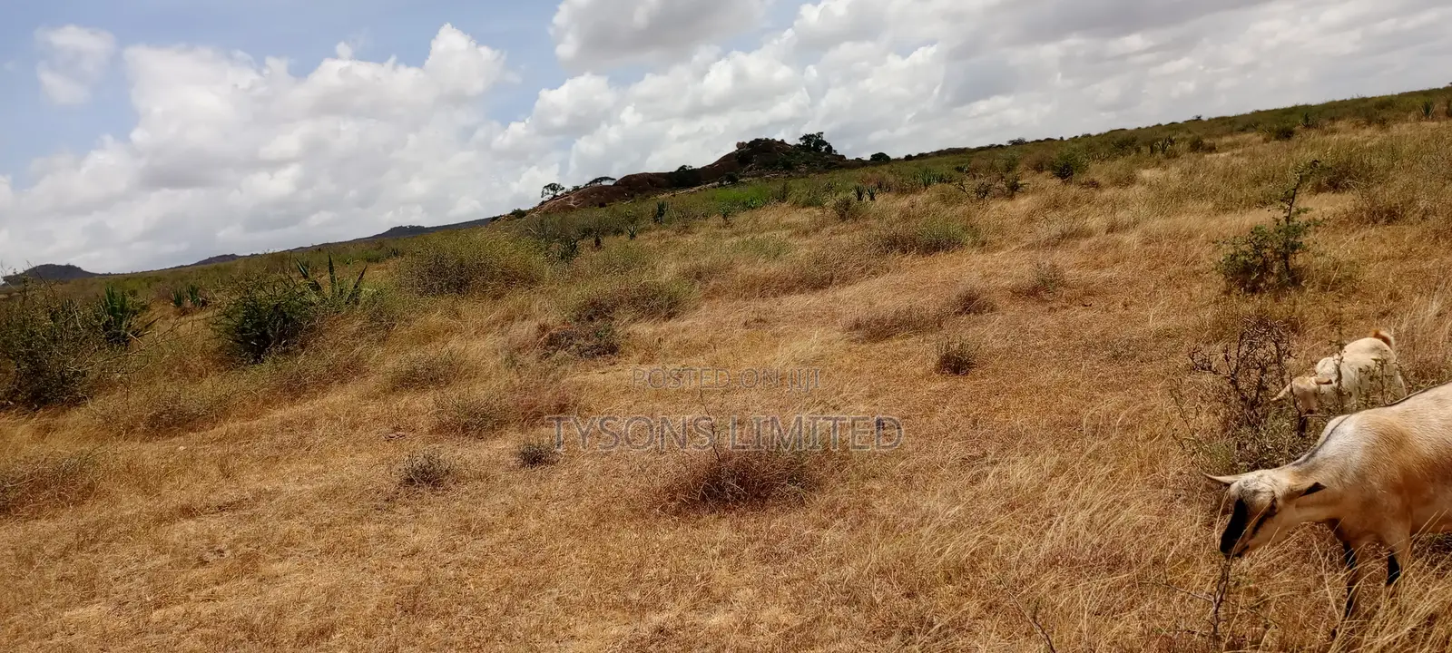 5 Acres for Sale in Kinanie in DayStar Area
