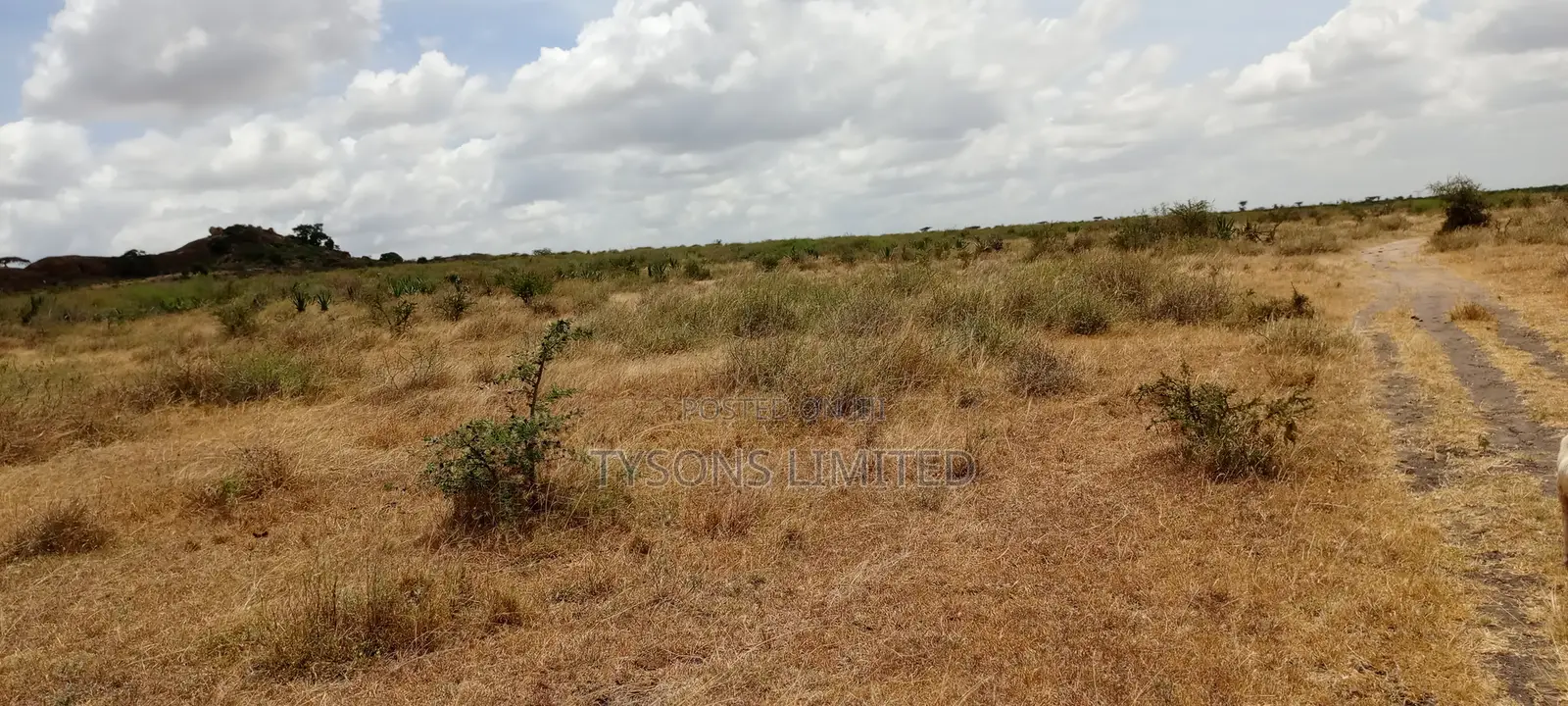 5 Acres for Sale in Kinanie in DayStar Area