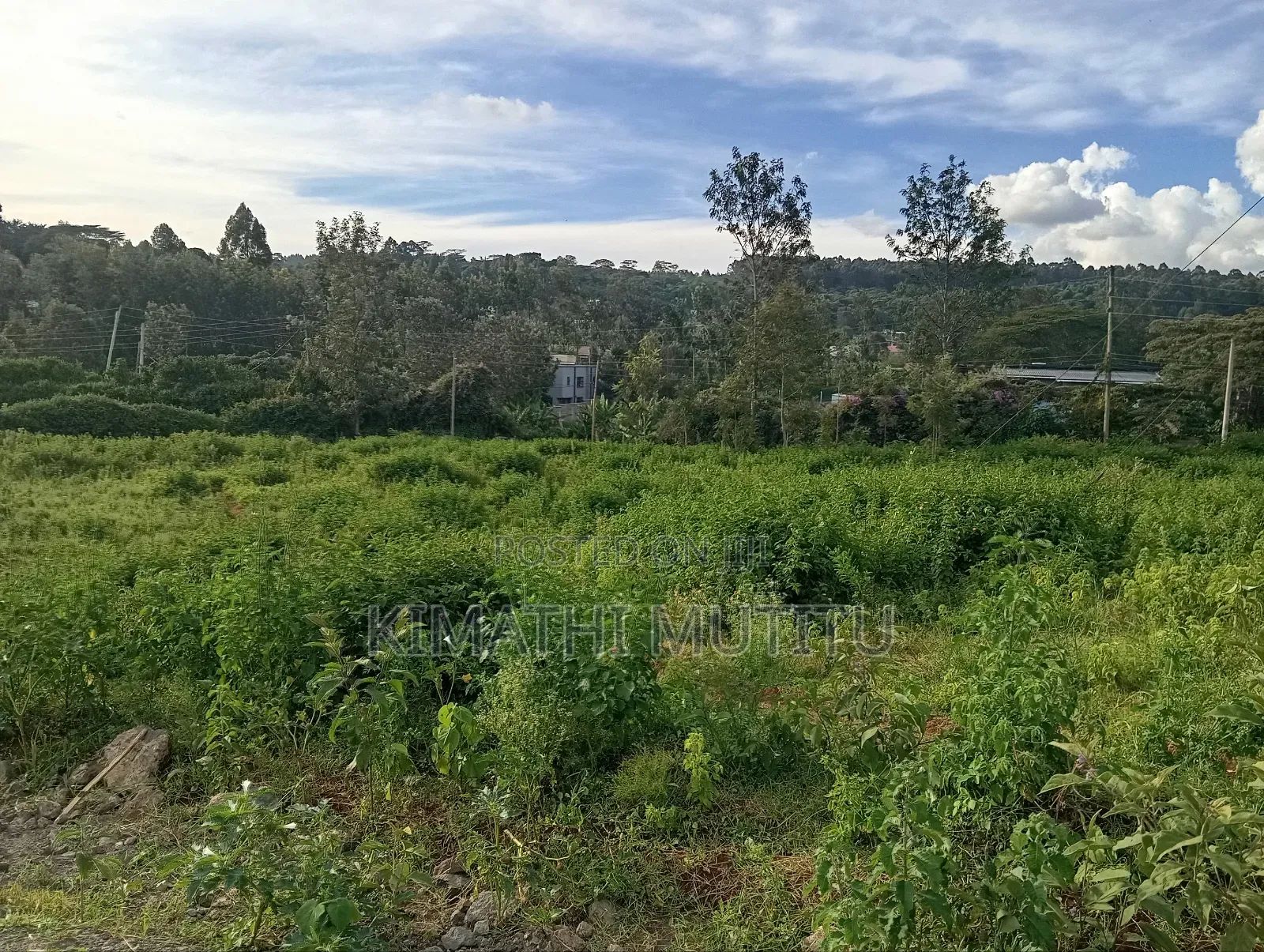 A Very Prime Residential 1/2 at Karen Rhino Park. in Hardy