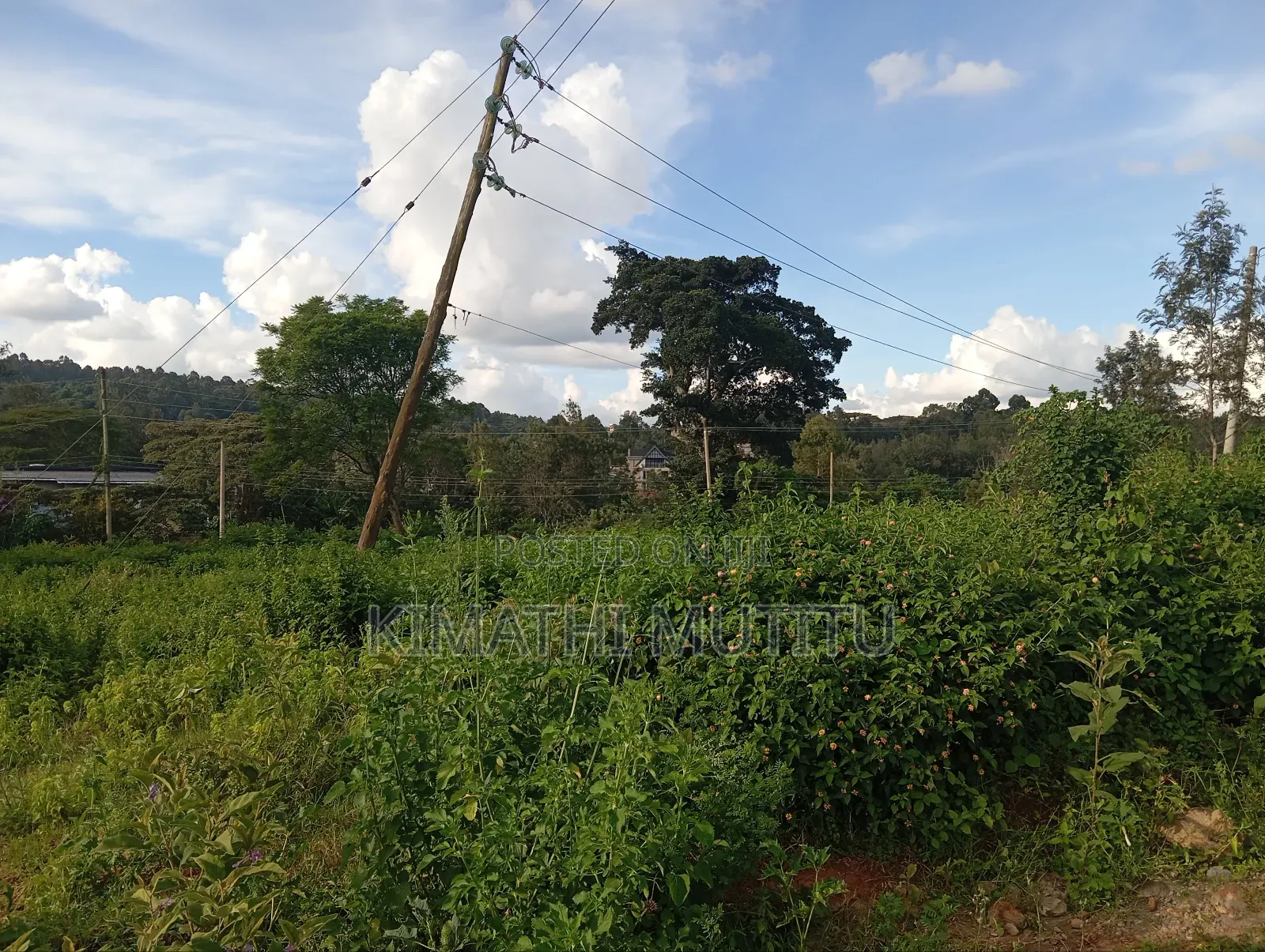 A Very Prime Residential 1/2 at Karen Rhino Park. in Hardy