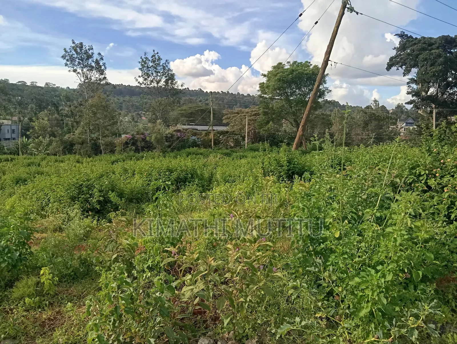 A Very Prime Residential 1/2 at Karen Rhino Park. in Hardy