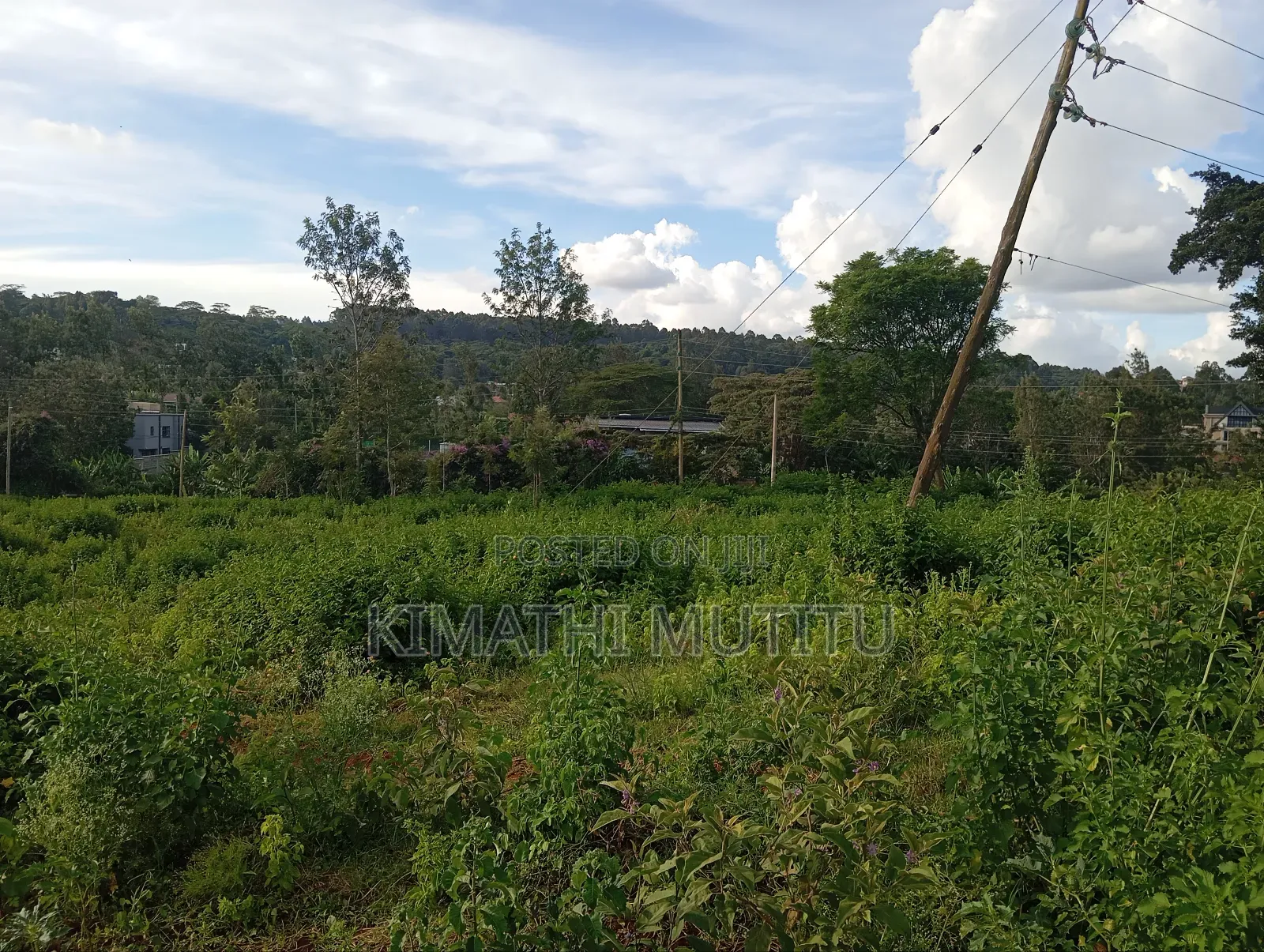 A Very Prime Residential 1/2 at Karen Rhino Park. in Hardy