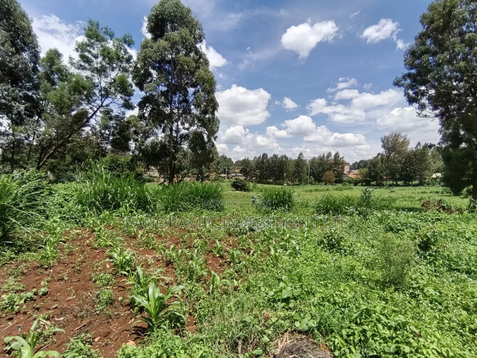 1 and 3/4 Acres for Sale in Mai-Aihii Kikuyu Kiambu County. in Kikuyu