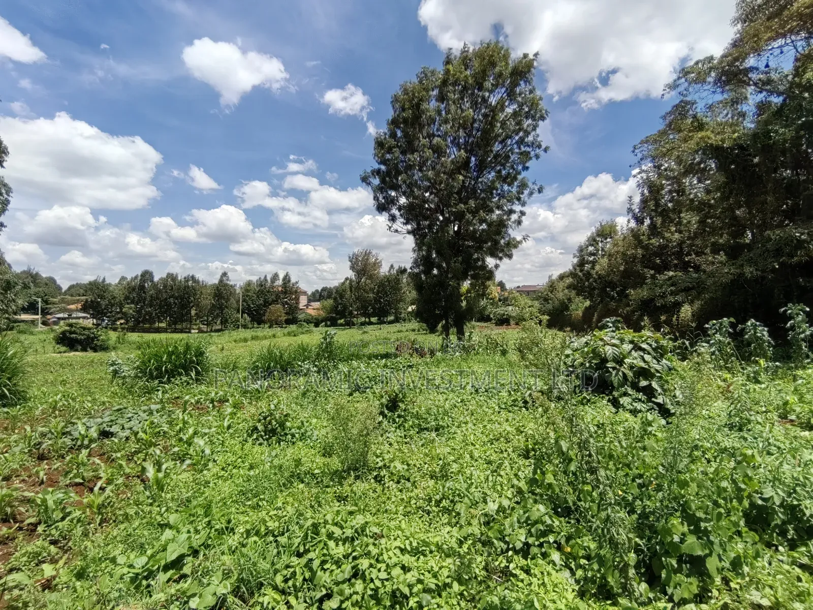1 and 3/4 Acres for Sale in Mai-Aihii Kikuyu Kiambu County. in Kikuyu