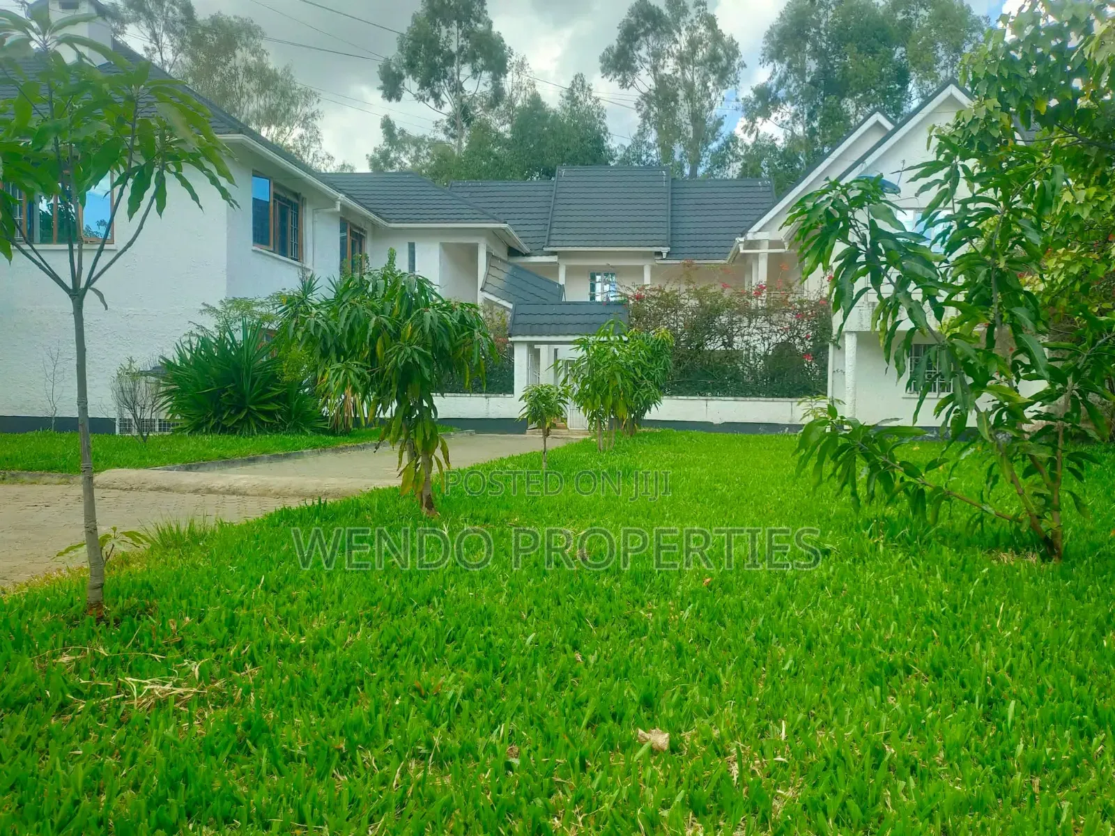 1bdrm Apartment in Karen C for rent in Karen C