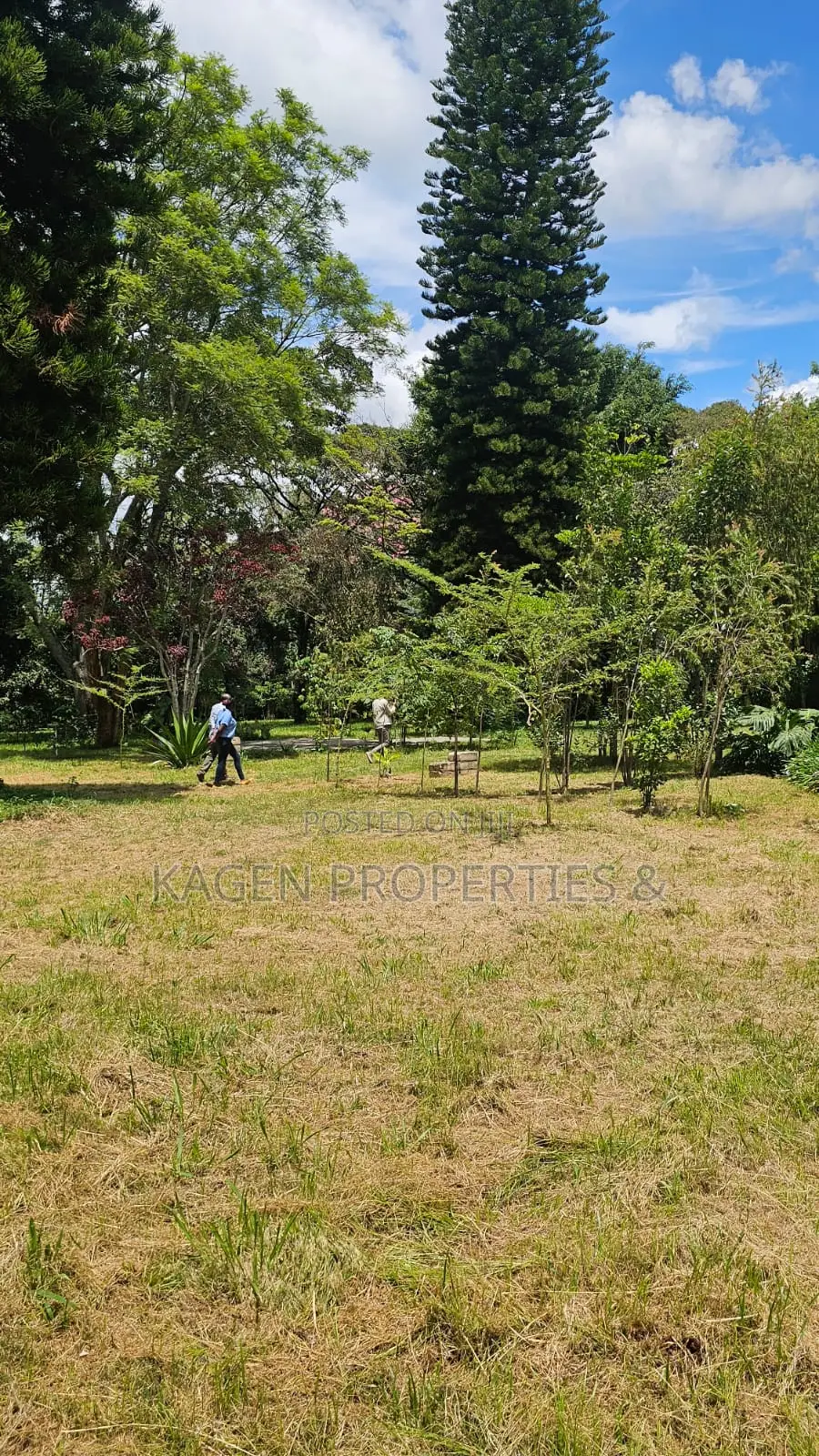 2.2 Acres Land in Karen for Sale in Hardy