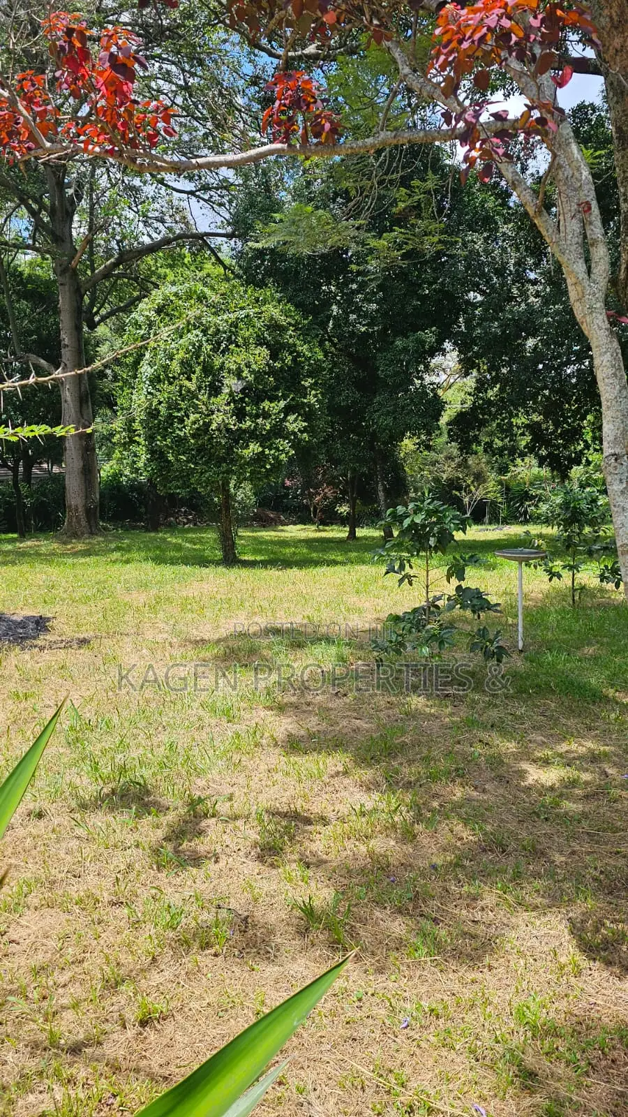 2.2 Acres Land in Karen for Sale in Hardy