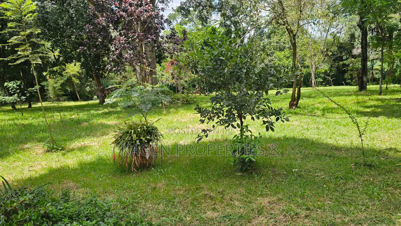 2.2 Acres Land in Karen for Sale in Hardy