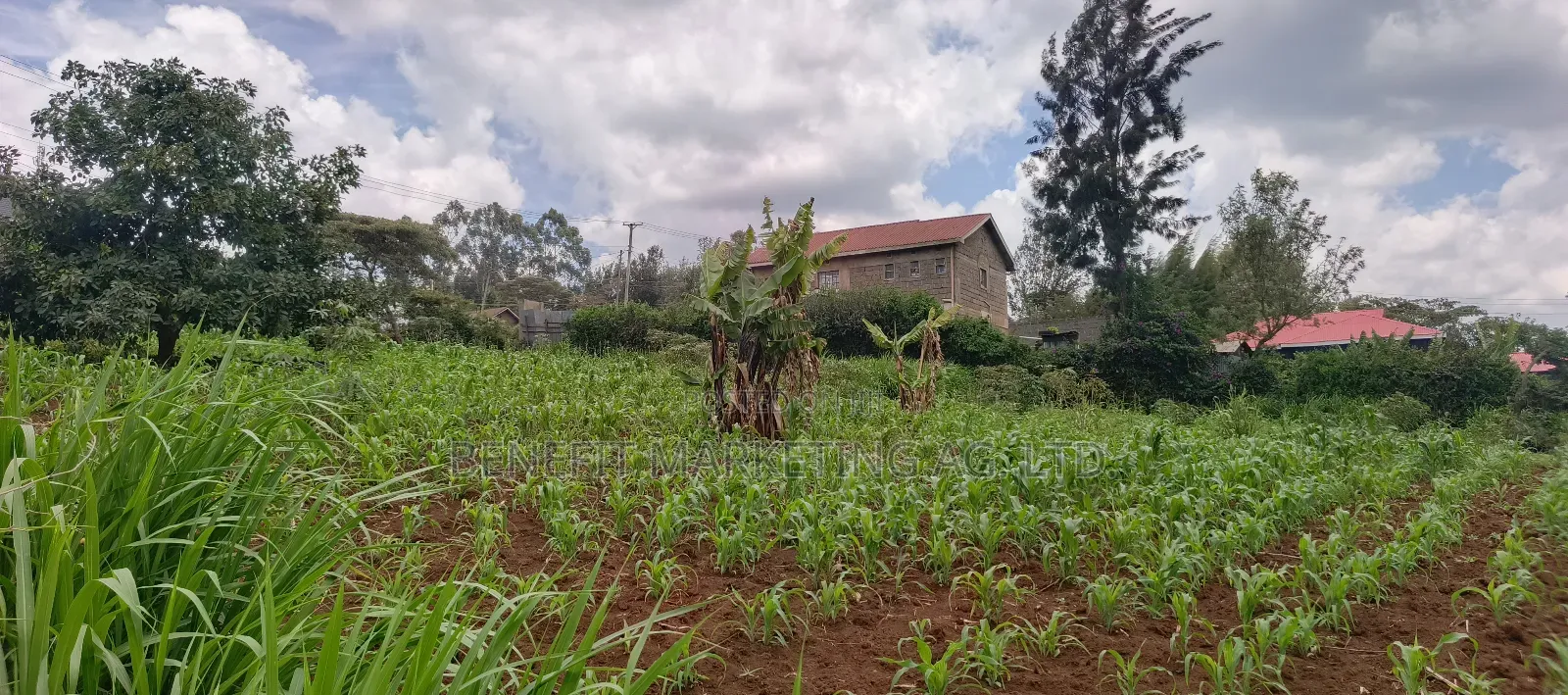 Quarter Acre Plot for Sale in Ngong Maragara Road in Ngong