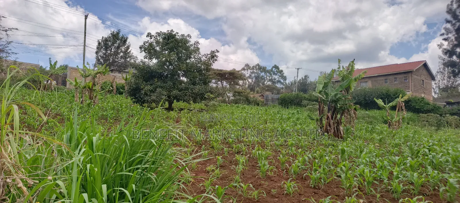 Quarter Acre Plot for Sale in Ngong Maragara Road in Ngong