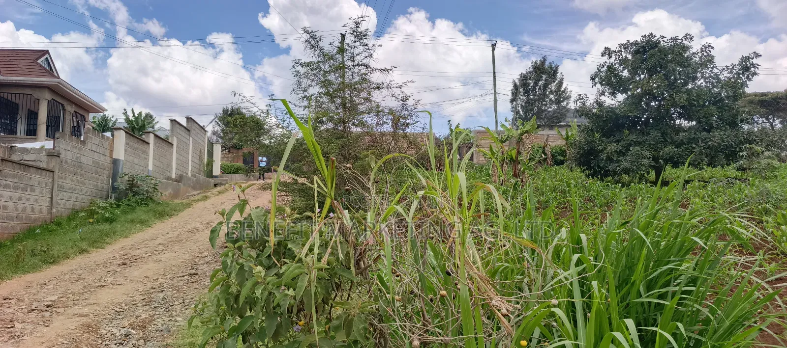 Quarter Acre Plot for Sale in Ngong Maragara Road in Ngong