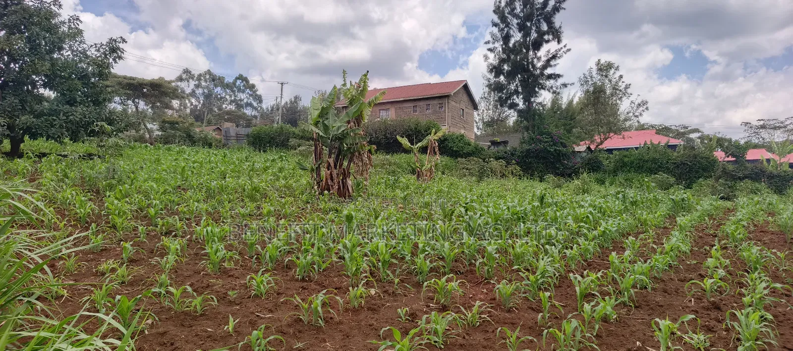 Quarter Acre Plot for Sale in Ngong Maragara Road in Ngong