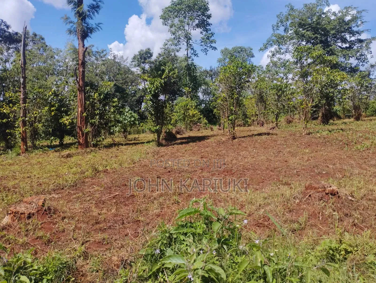 600 Acres of Land in Makuyu/Sagana Dual Carriageway 3km From Makuyu in Makuyu