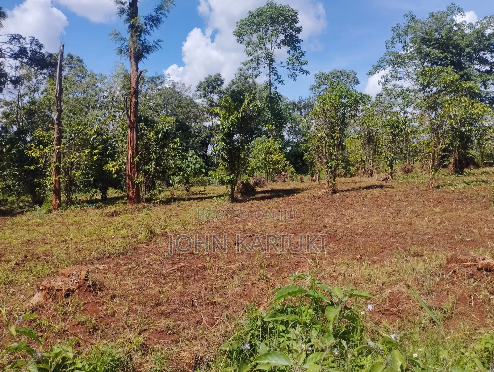 600 Acres of Land in Makuyu/Sagana Dual Carriageway 3km From Makuyu in Makuyu
