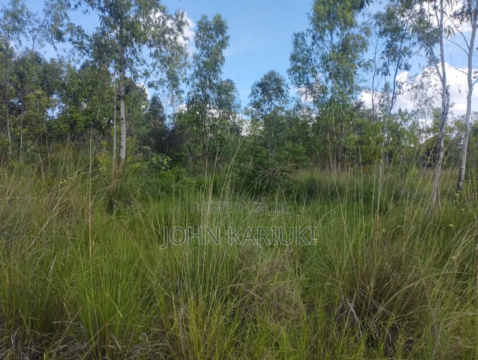 600 Acres of Land in Makuyu/Sagana Dual Carriageway 3km From Makuyu in Makuyu