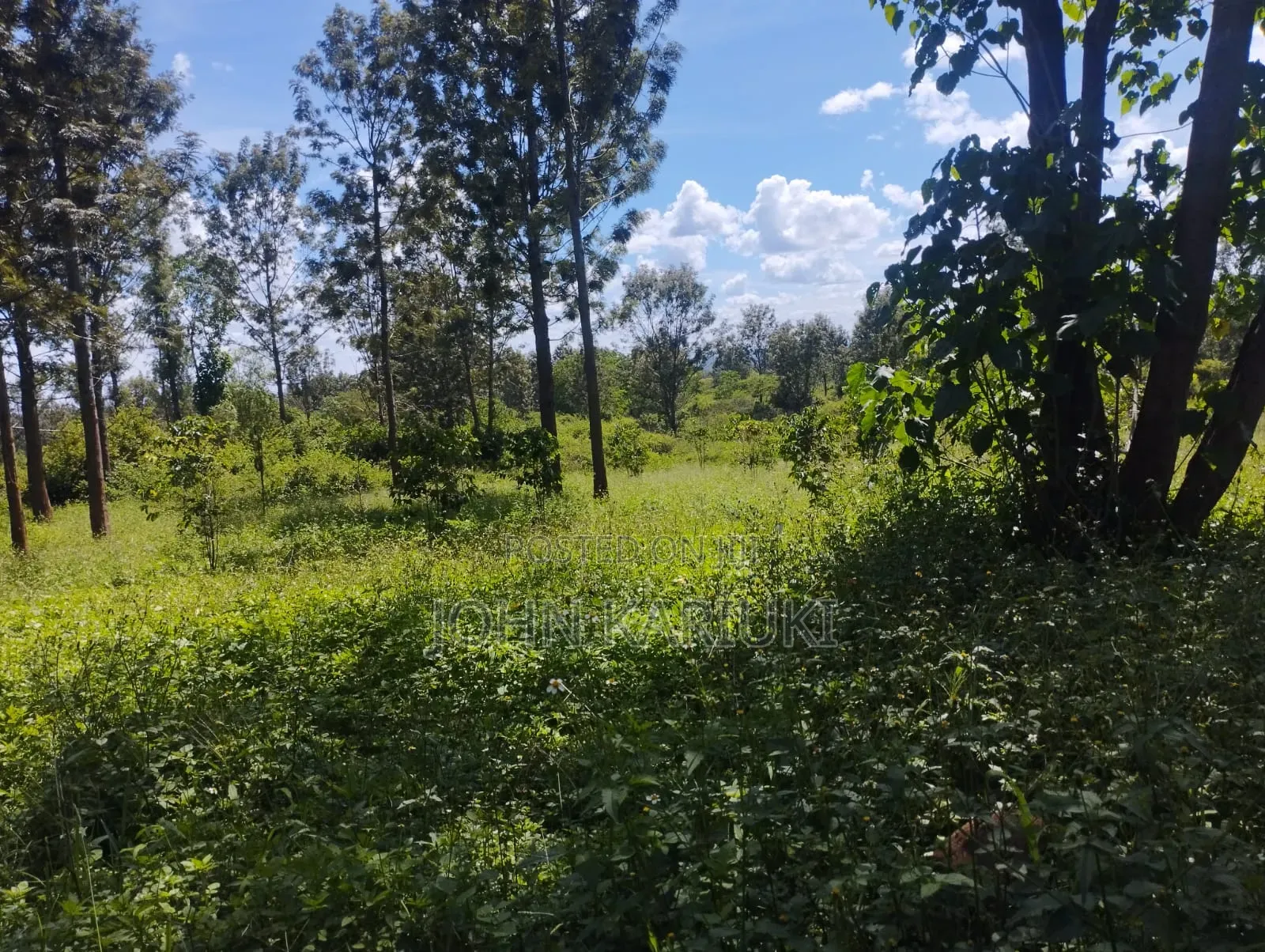 600 Acres of Land in Makuyu/Sagana Dual Carriageway 3km From Makuyu in Makuyu