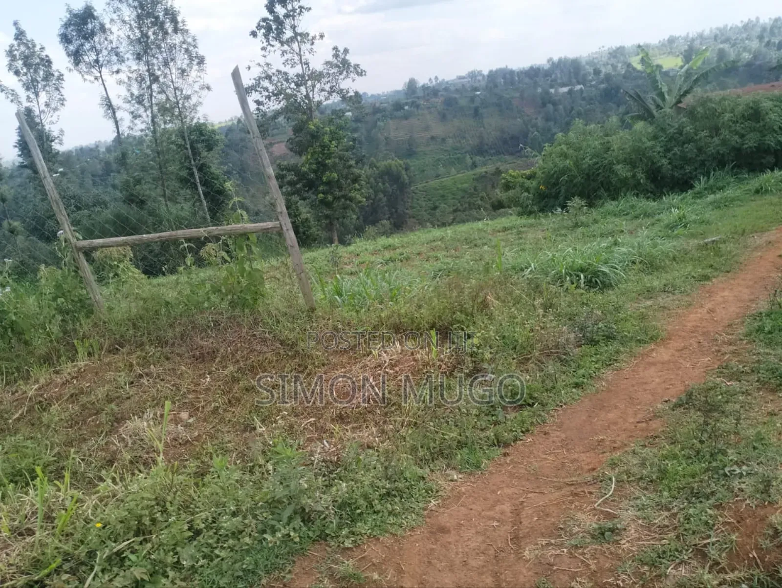 Gatundu South Itura-Mīro Prime 8.5 Acres With 20,000 Mature Tea Bushes in Ndarugu