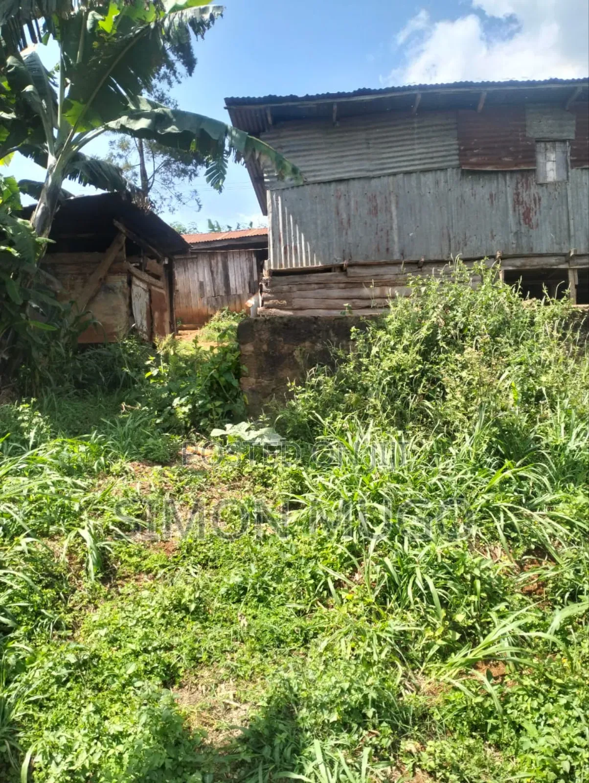 Gatundu South Itura-Mīro Prime 8.5 Acres With 20,000 Mature Tea Bushes in Ndarugu