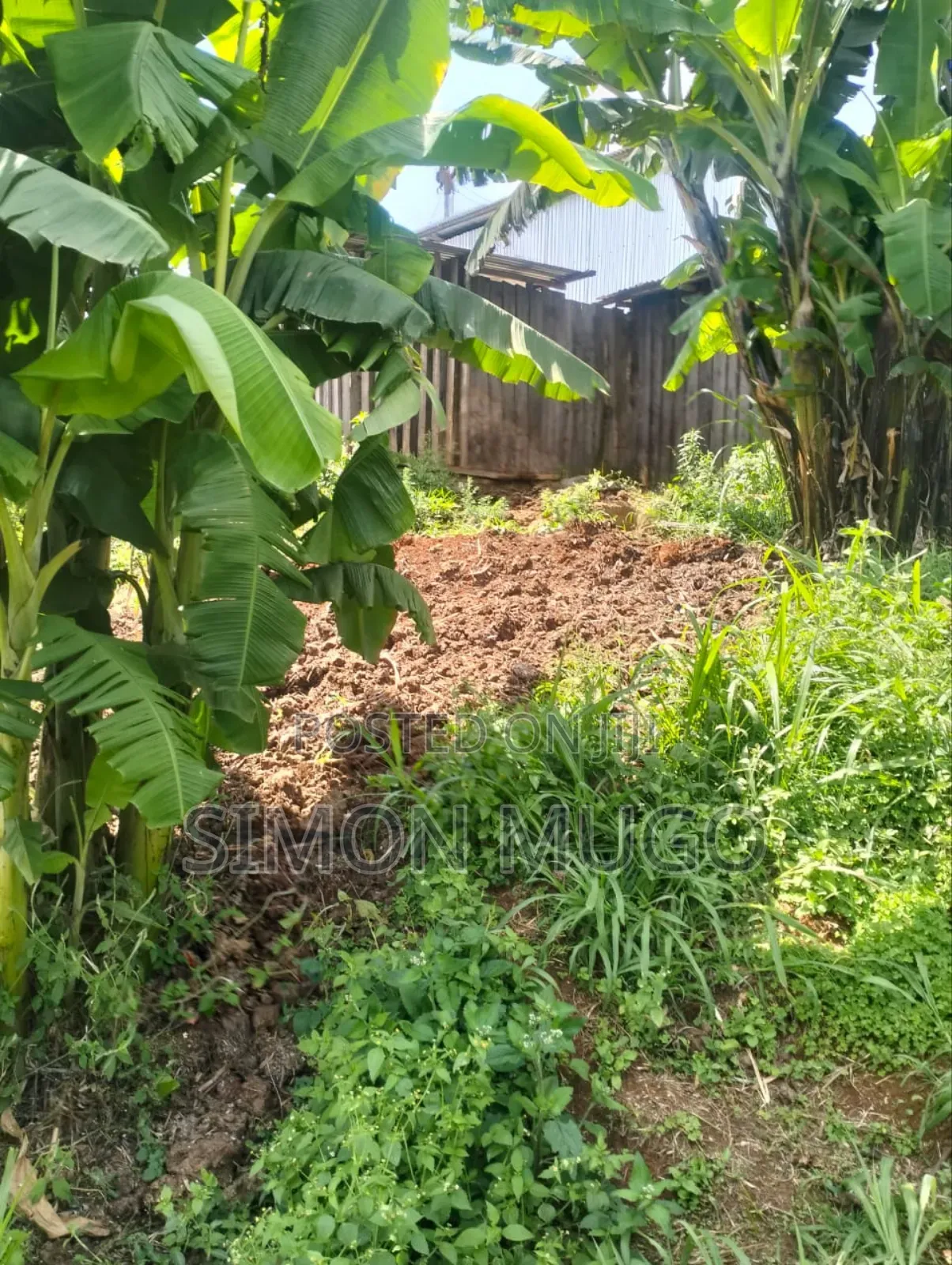 Gatundu South Itura-Mīro Prime 8.5 Acres With 20,000 Mature Tea Bushes in Ndarugu