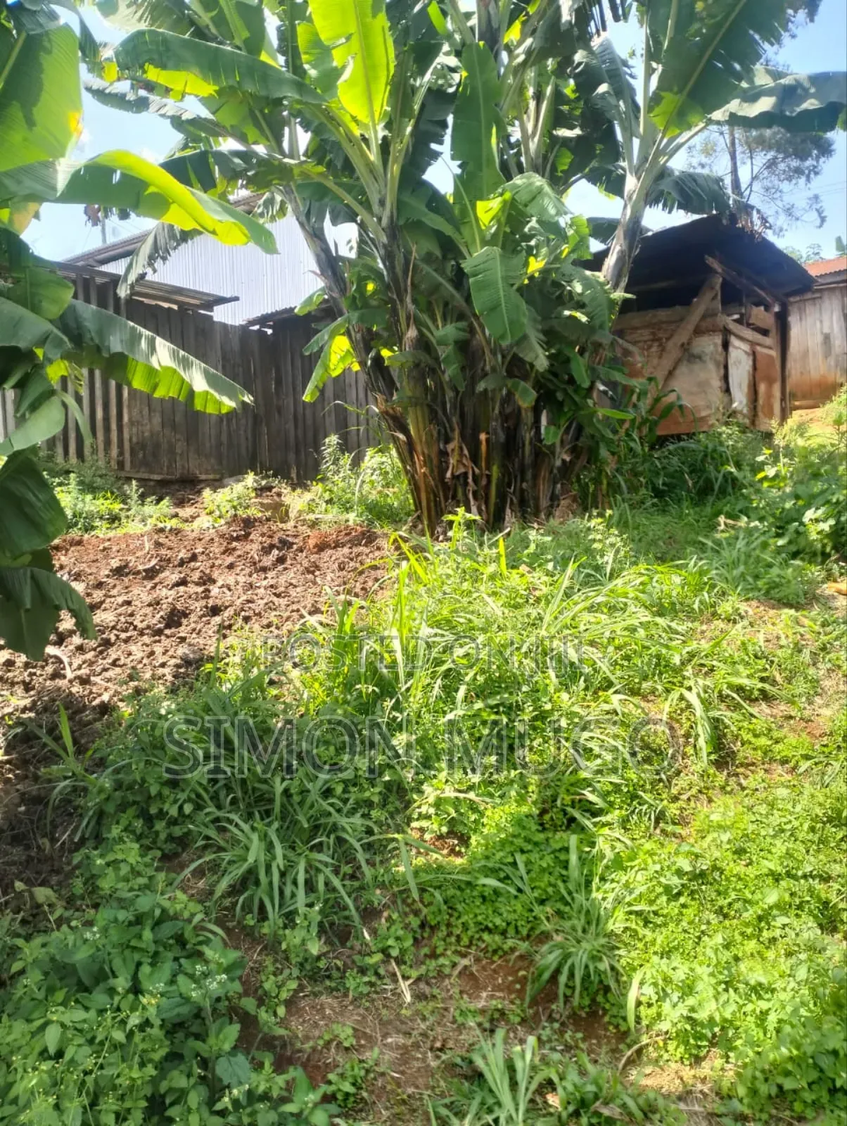 Gatundu South Itura-Mīro Prime 8.5 Acres With 20,000 Mature Tea Bushes in Ndarugu