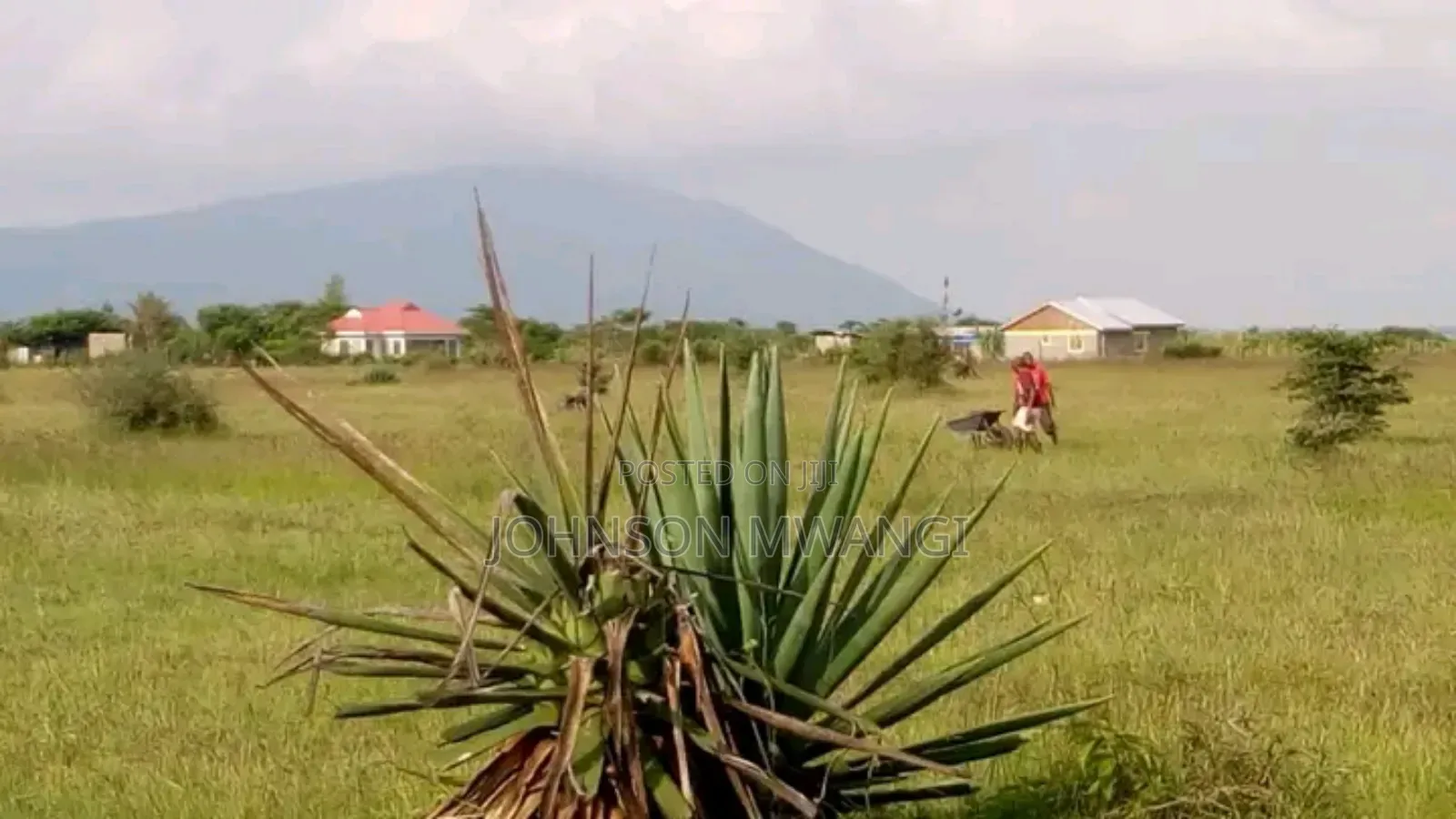 Plot for Sale in Ruiru
