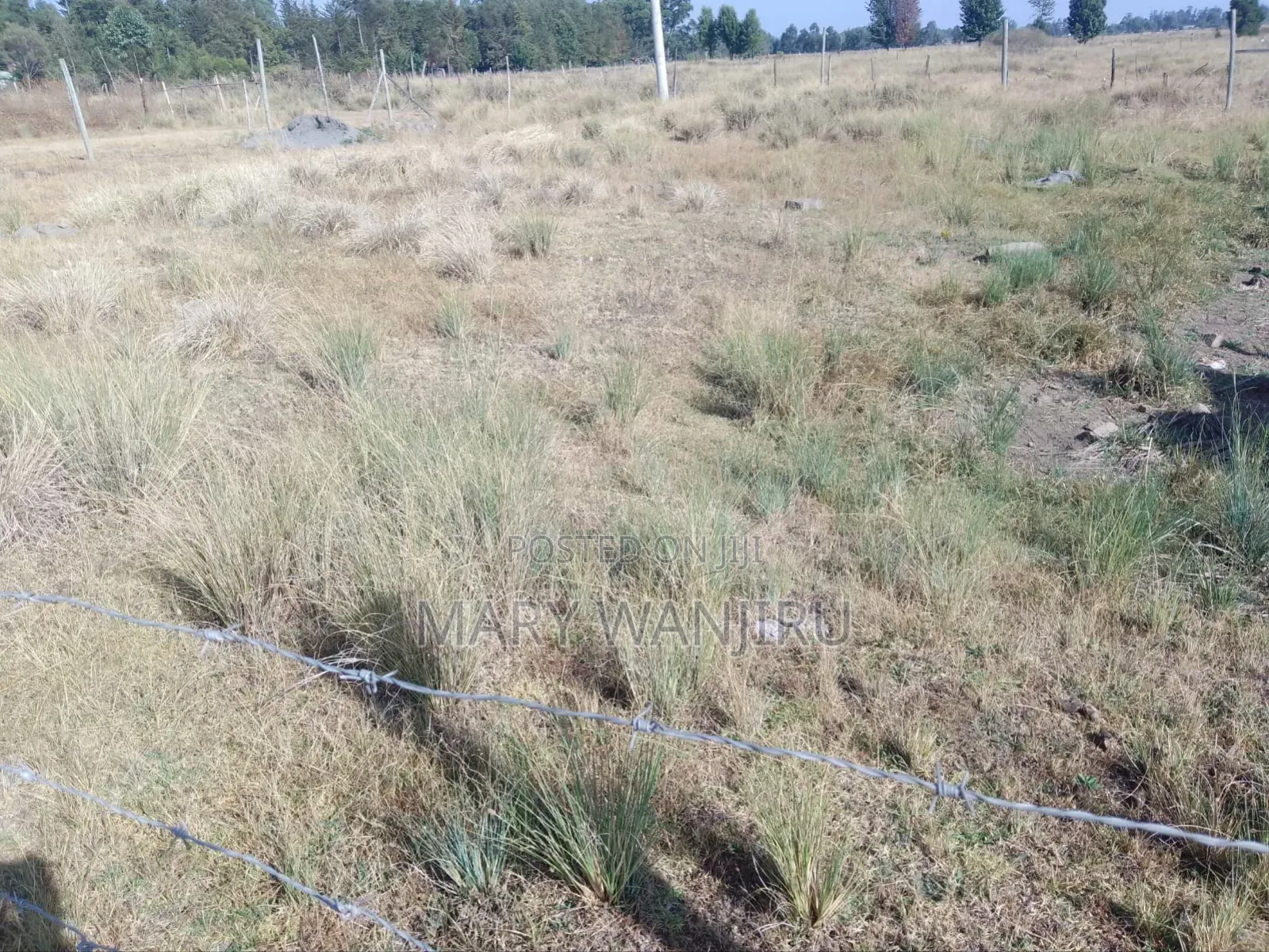 50/100 Plot Available for Sale in Karau