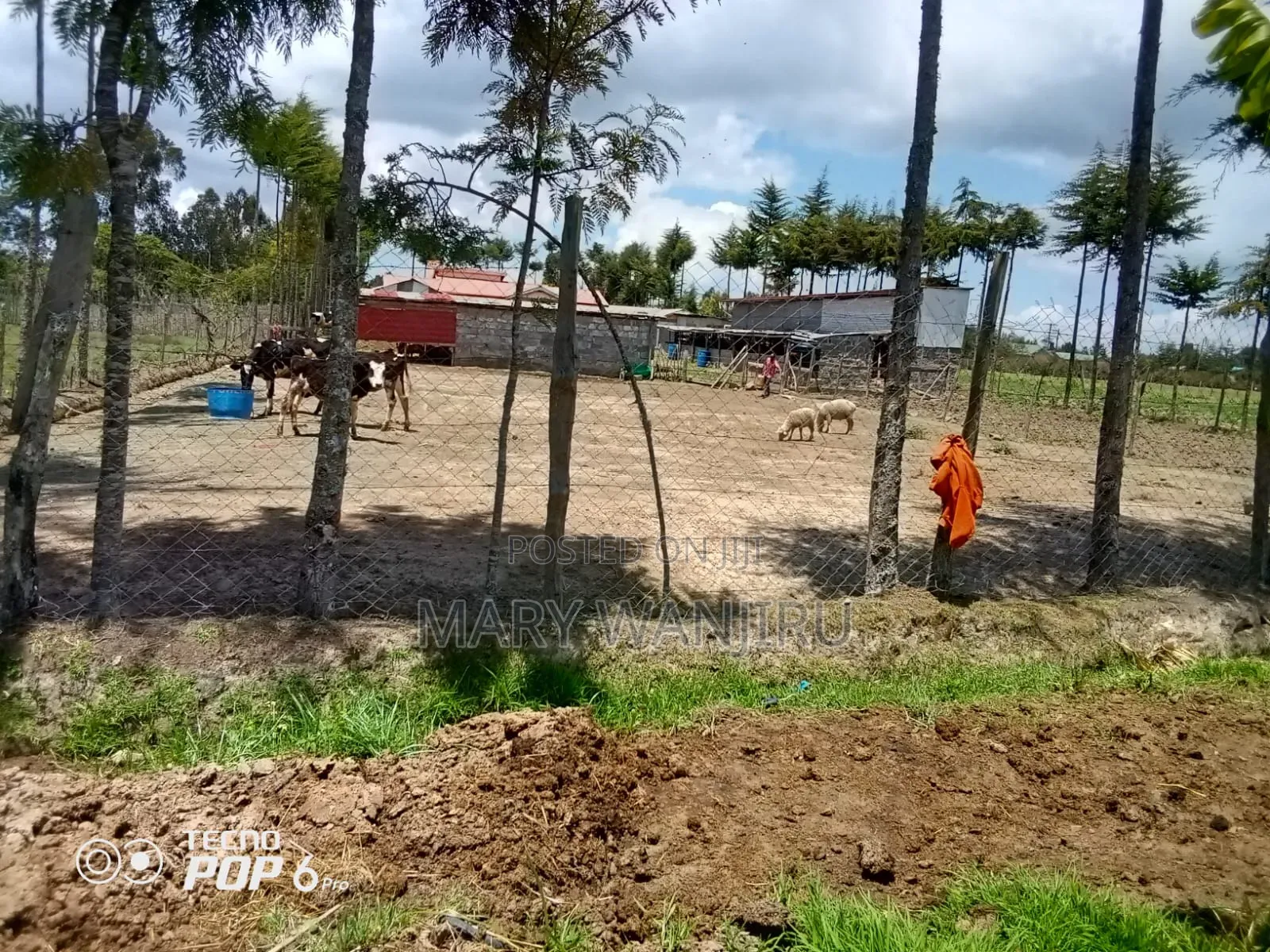 One and Half Acres for Sale in Karau