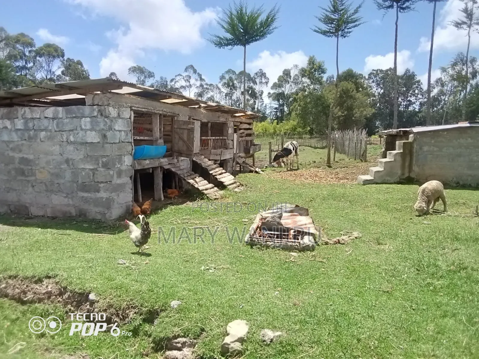 One and Half Acres for Sale in Karau