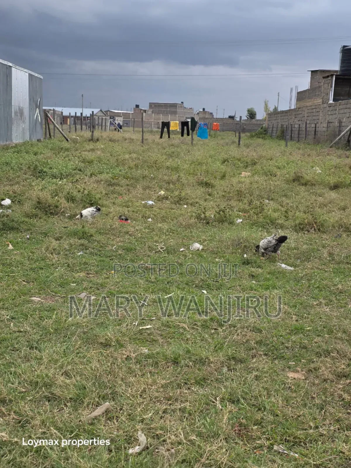 50/100 Plot Available for Sale in Kitengela