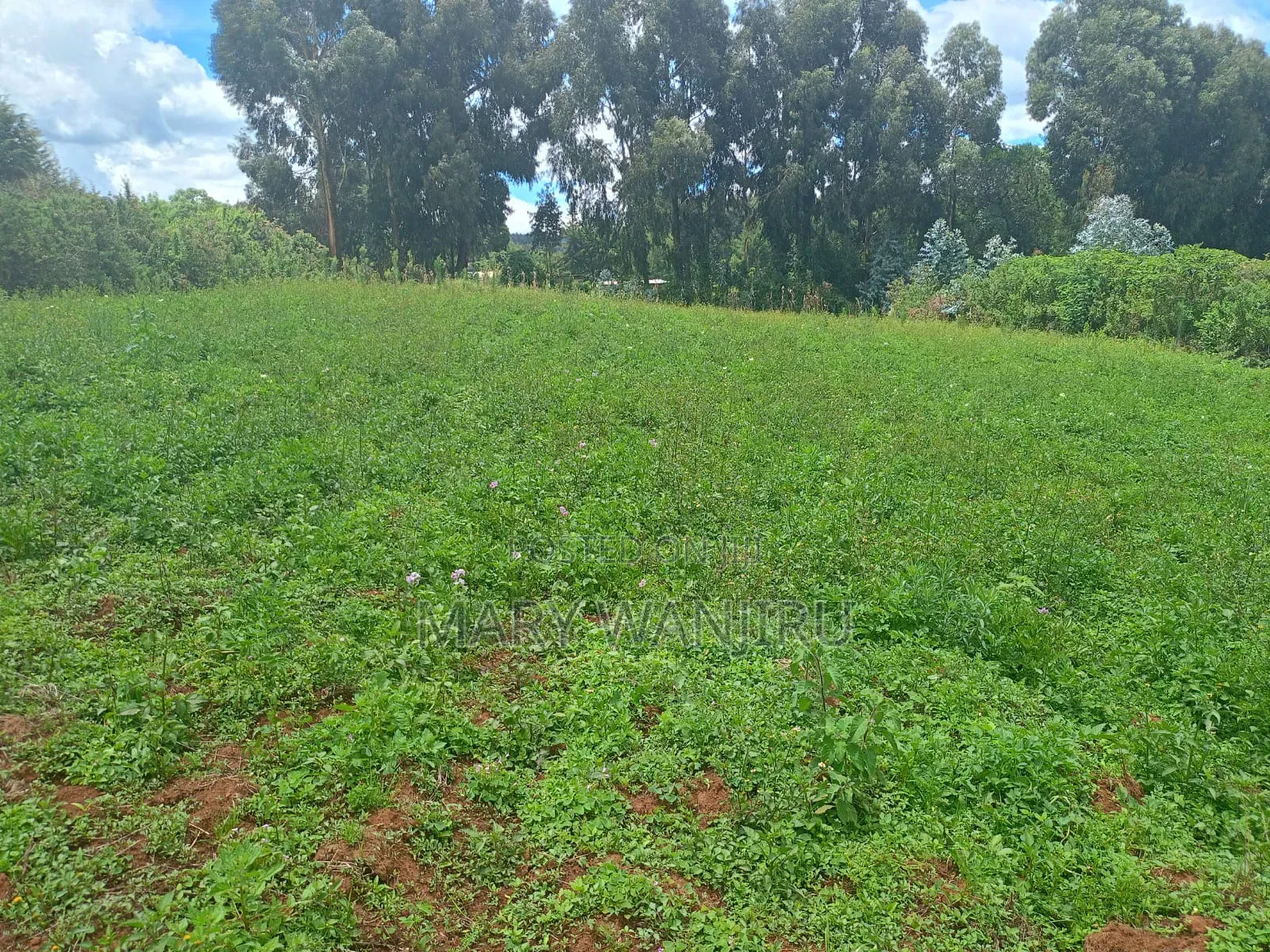 14 Acres for Sale in Karau