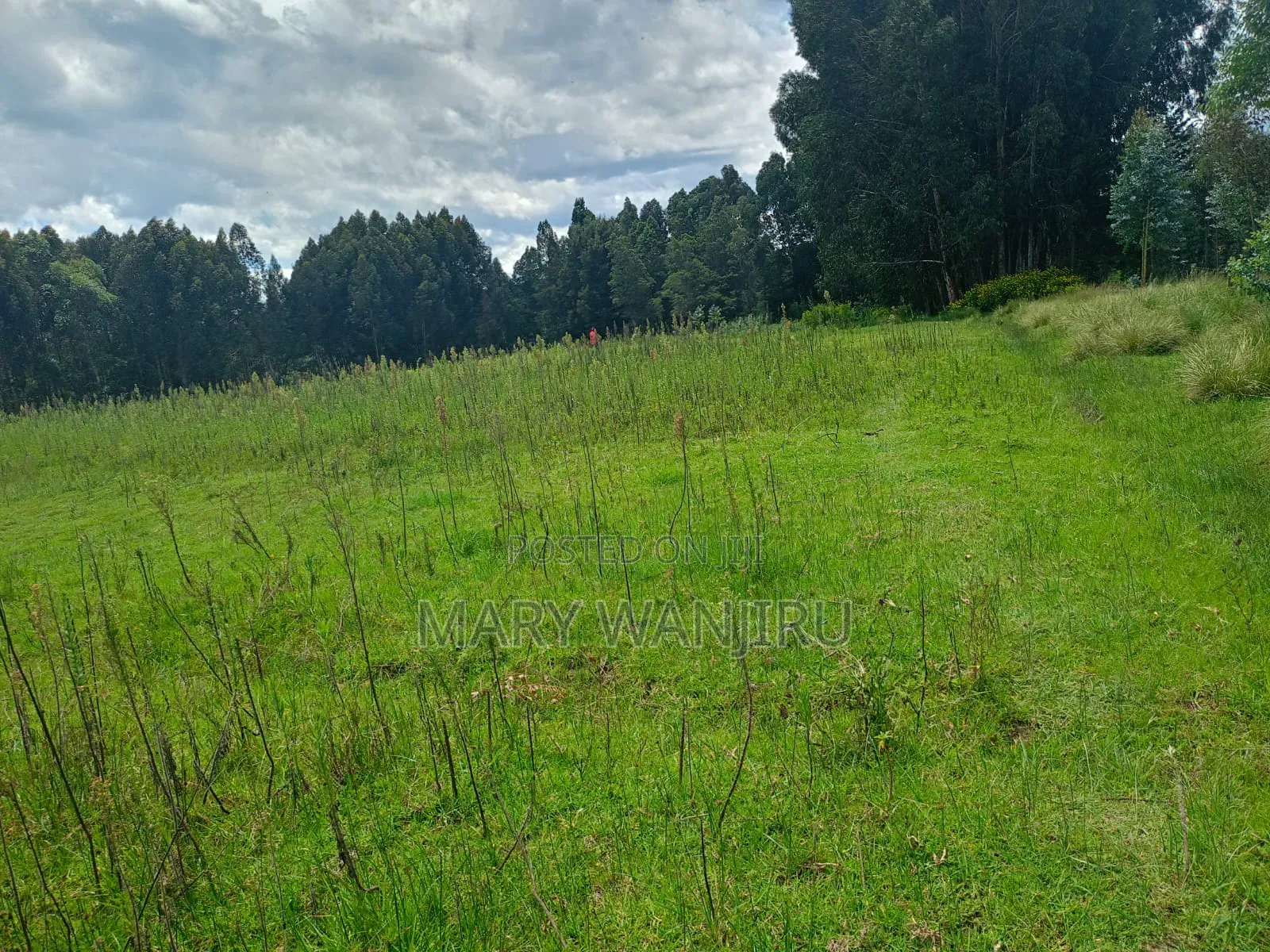14 Acres for Sale in Karau