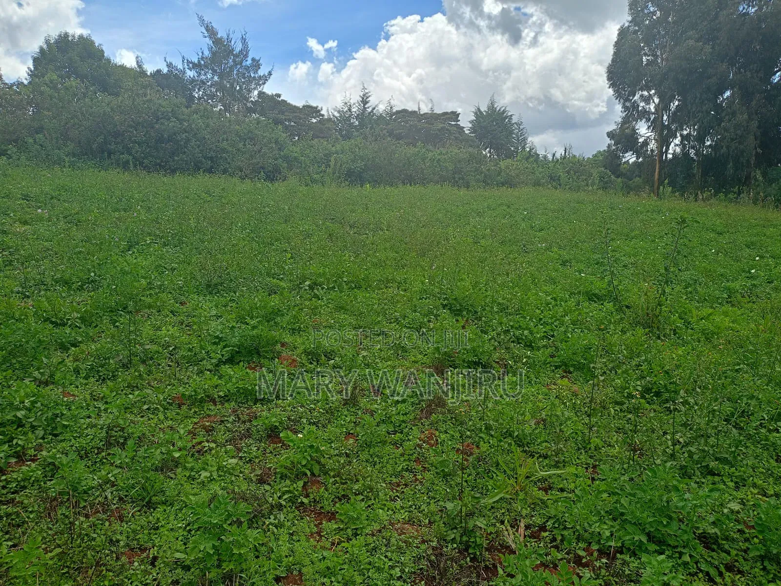 14 Acres for Sale in Karau