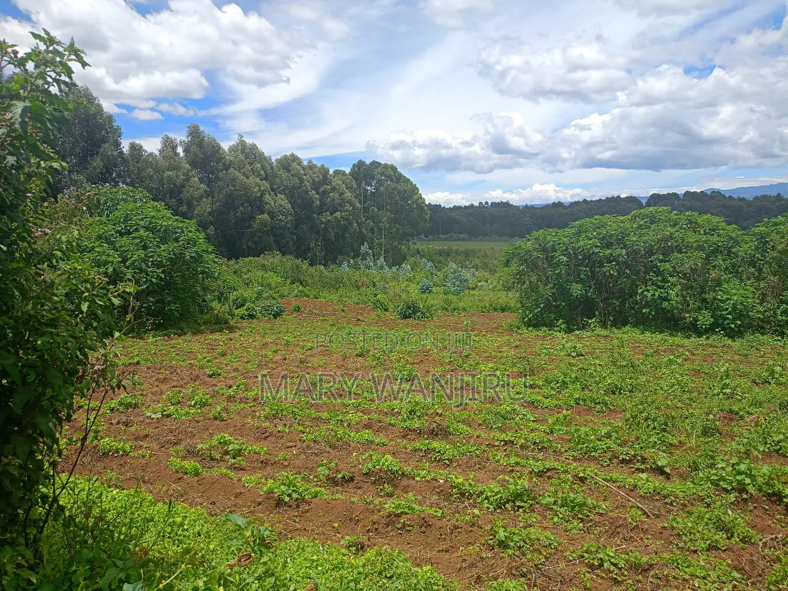 14 Acres for Sale in Karau