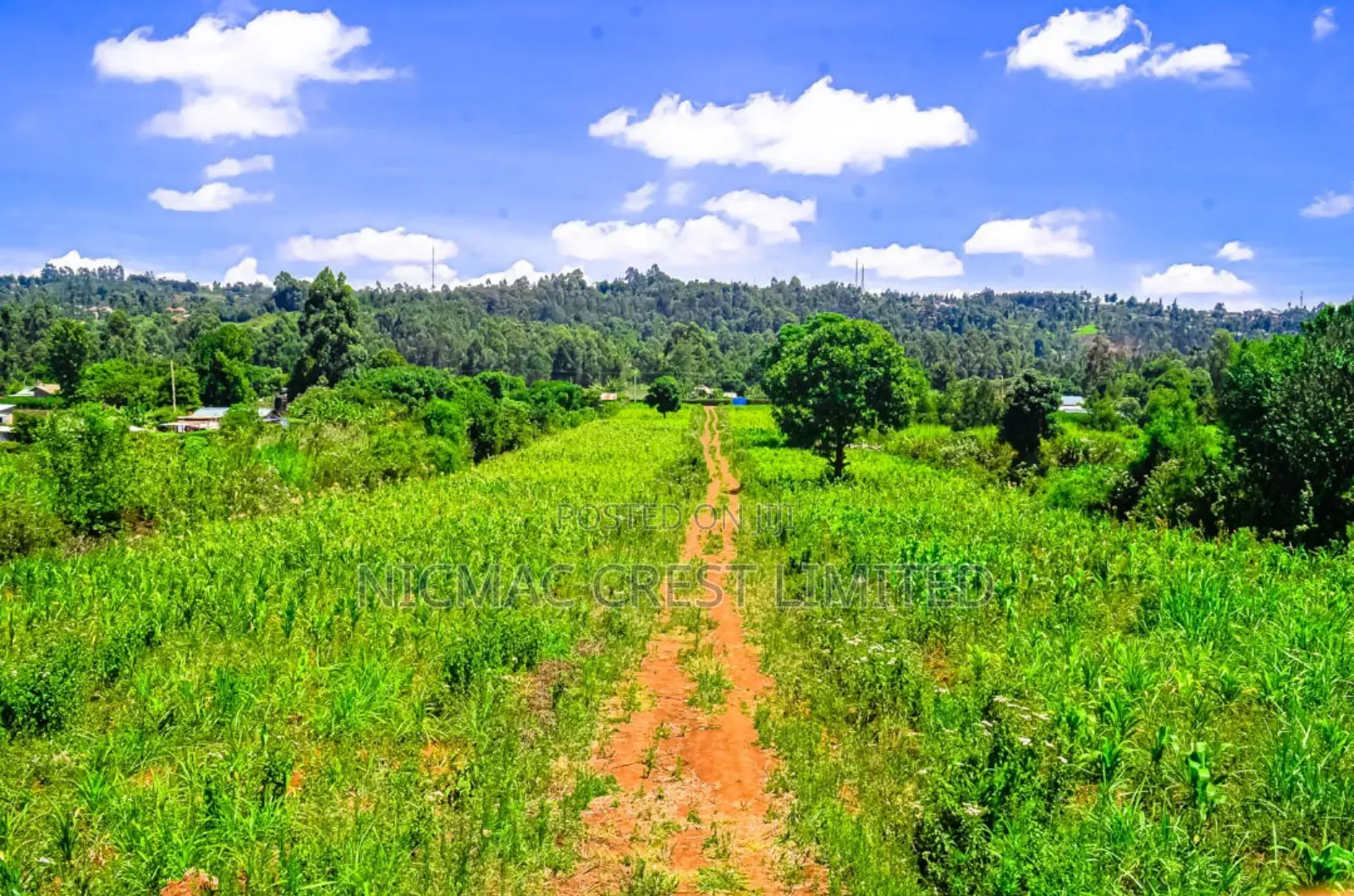 Prime Plots for Sale in a Gated Community in Ngecha