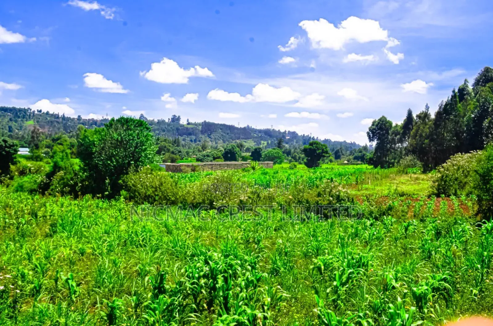 Prime Plots for Sale in a Gated Community in Ngecha