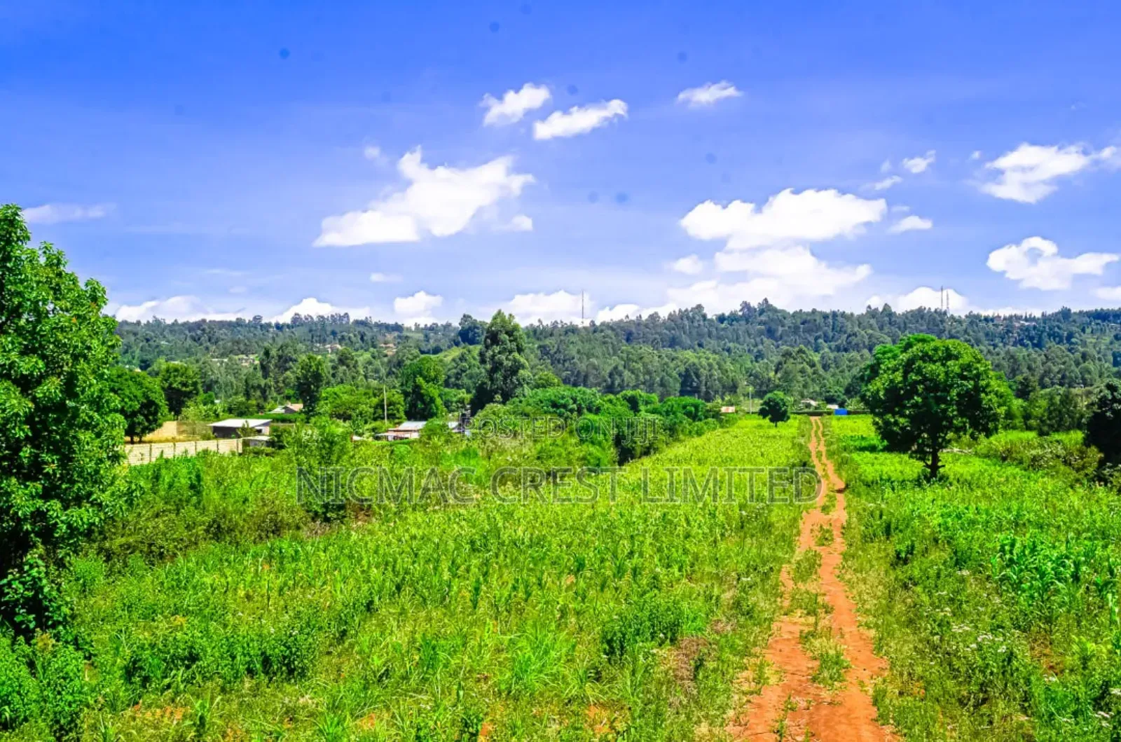 Prime Plots for Sale in a Gated Community in Ngecha