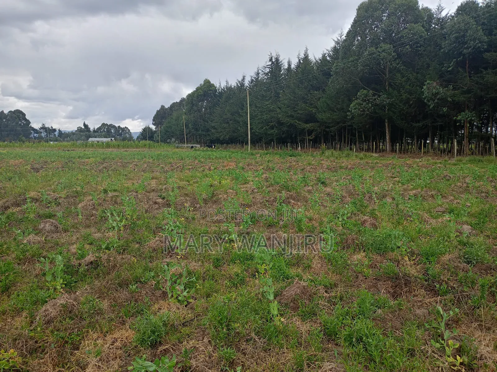 6.5 Acres Available for Sale in Kipipiri