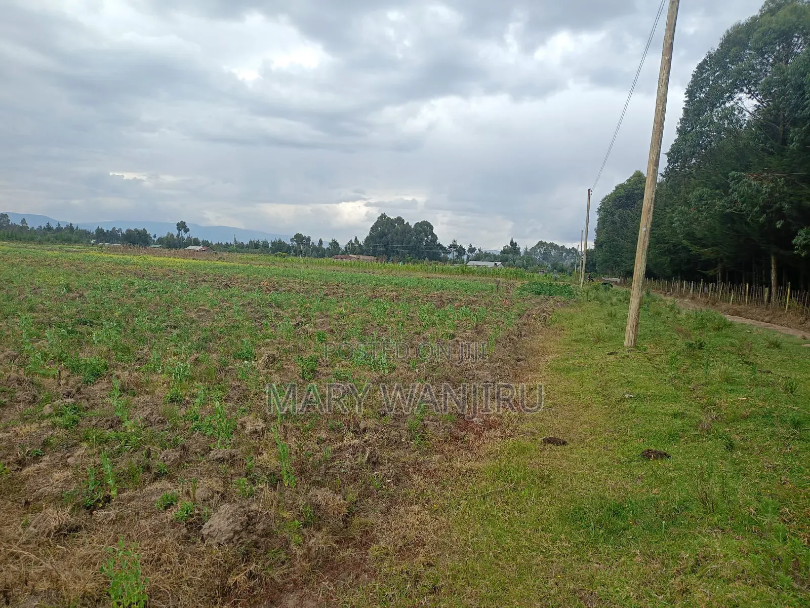 6.5 Acres Available for Sale in Kipipiri