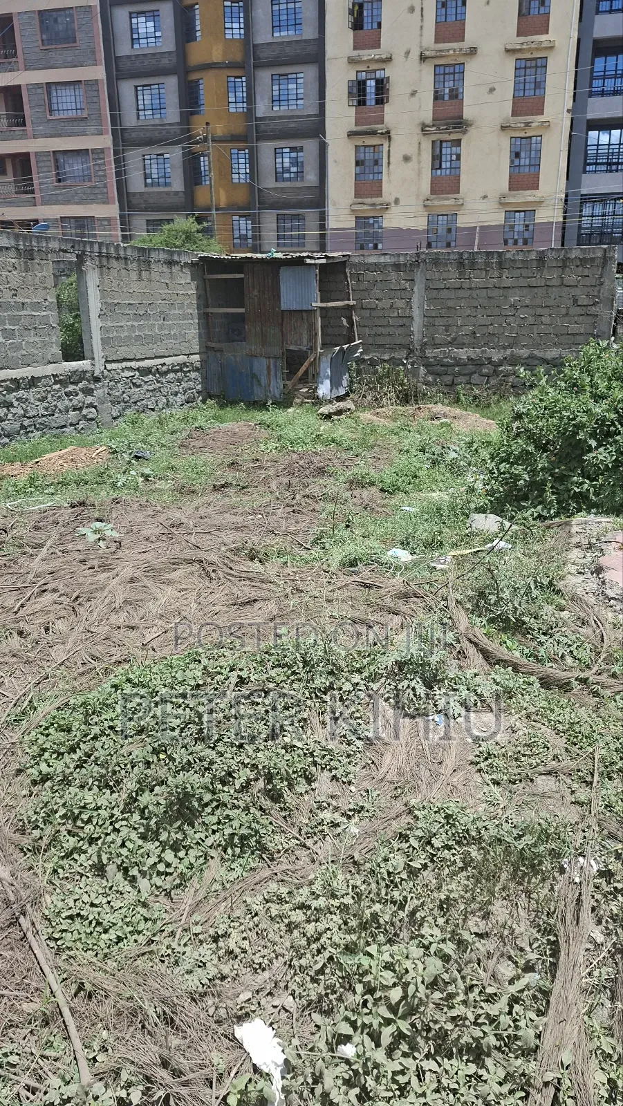 Tassia Near Police Post 33ft by 66ft Plot Touching Tarmac in Tassia