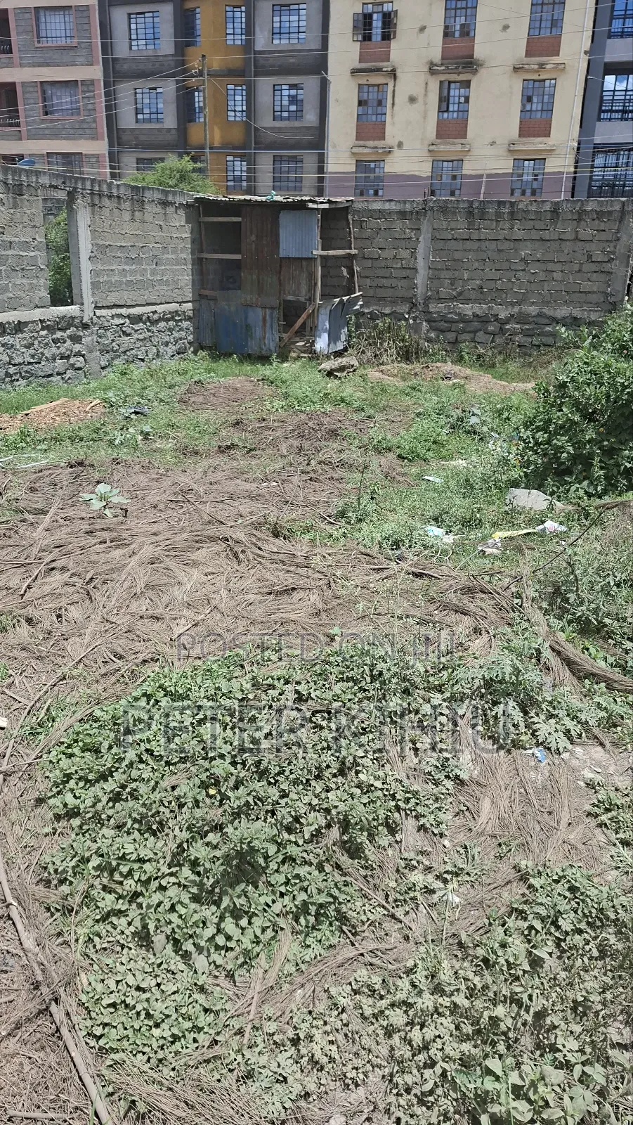 Tassia Near Police Post 33ft by 66ft Plot Touching Tarmac in Tassia