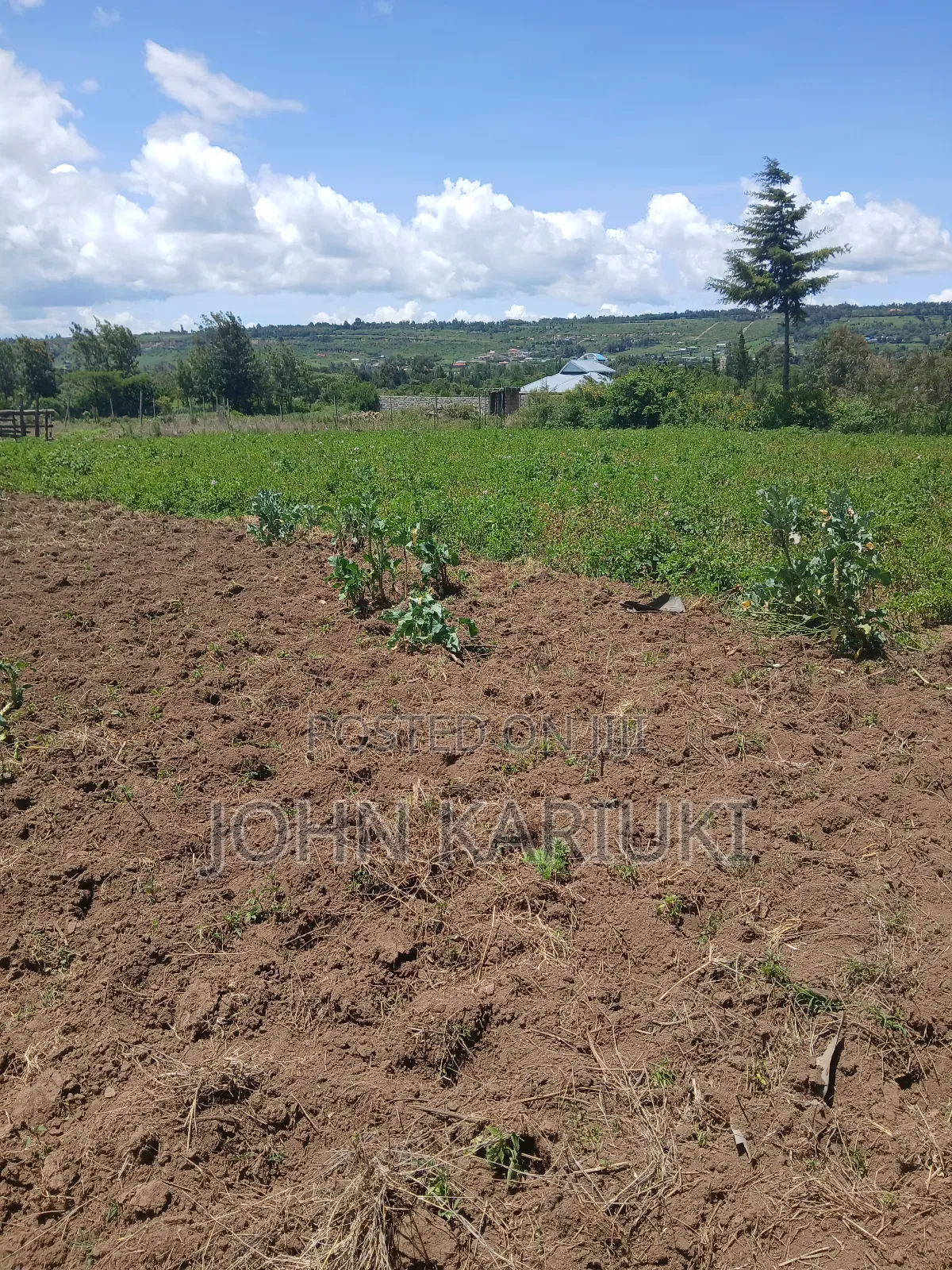50x100 Plots in Naivasha Nyamathi Opposite Ego Petrol Station 800mts in Naivasha East