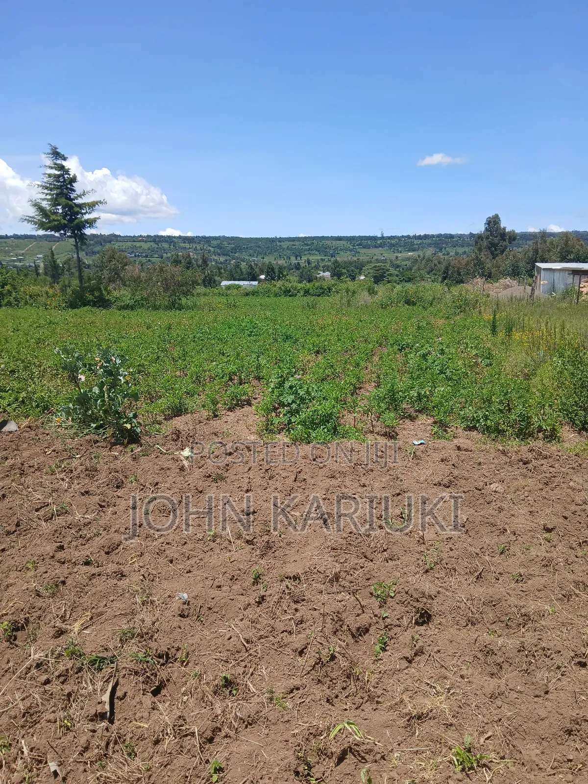 50x100 Plots in Naivasha Nyamathi Opposite Ego Petrol Station 800mts in Naivasha East