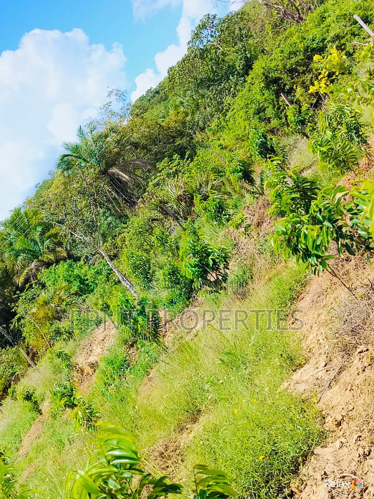 12 Acre Agricultural Project With Borehole and Farm Produce in Kwale in Kwale